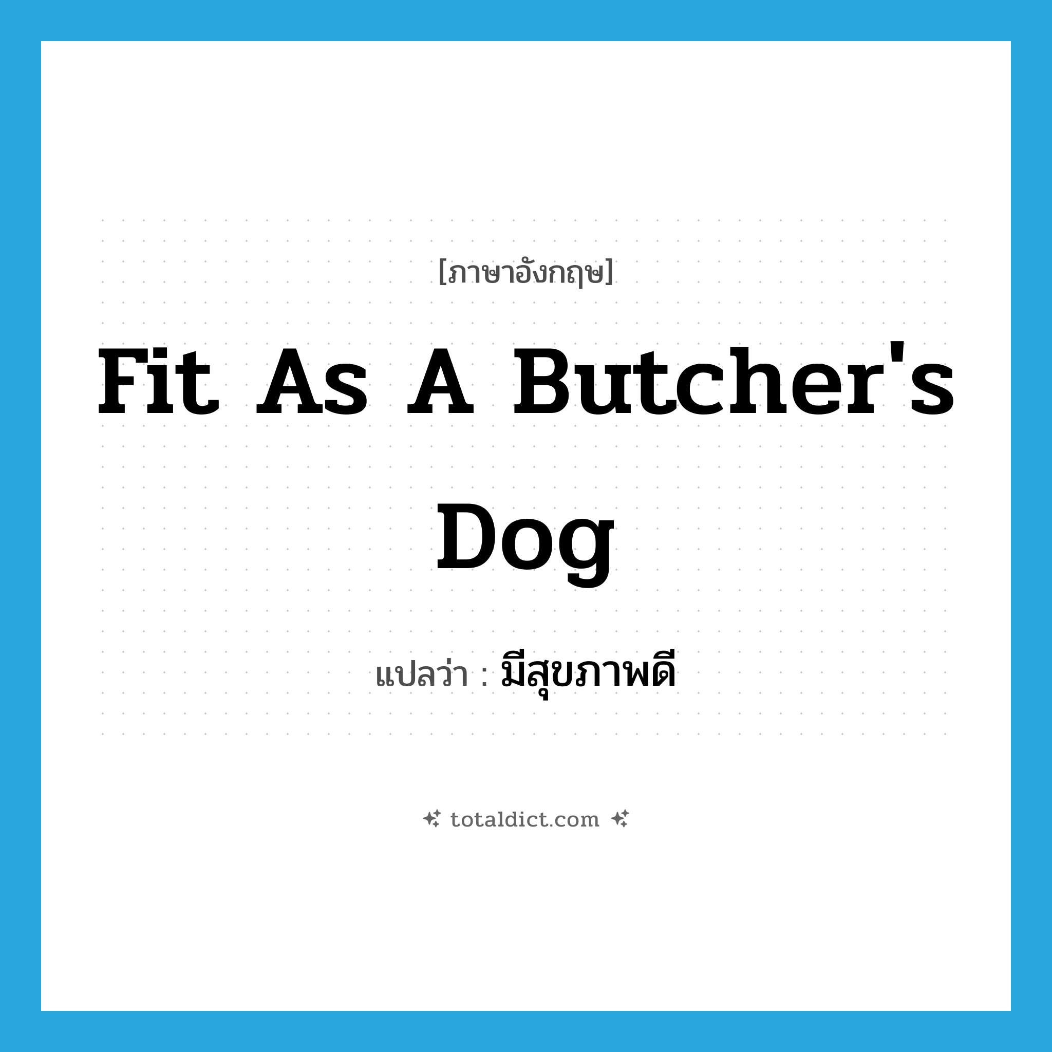 fit as a butcher&#39;s dog แปลว่า?, คำศัพท์ภาษาอังกฤษ fit as a butcher&#39;s dog แปลว่า มีสุขภาพดี ประเภท SL หมวด SL