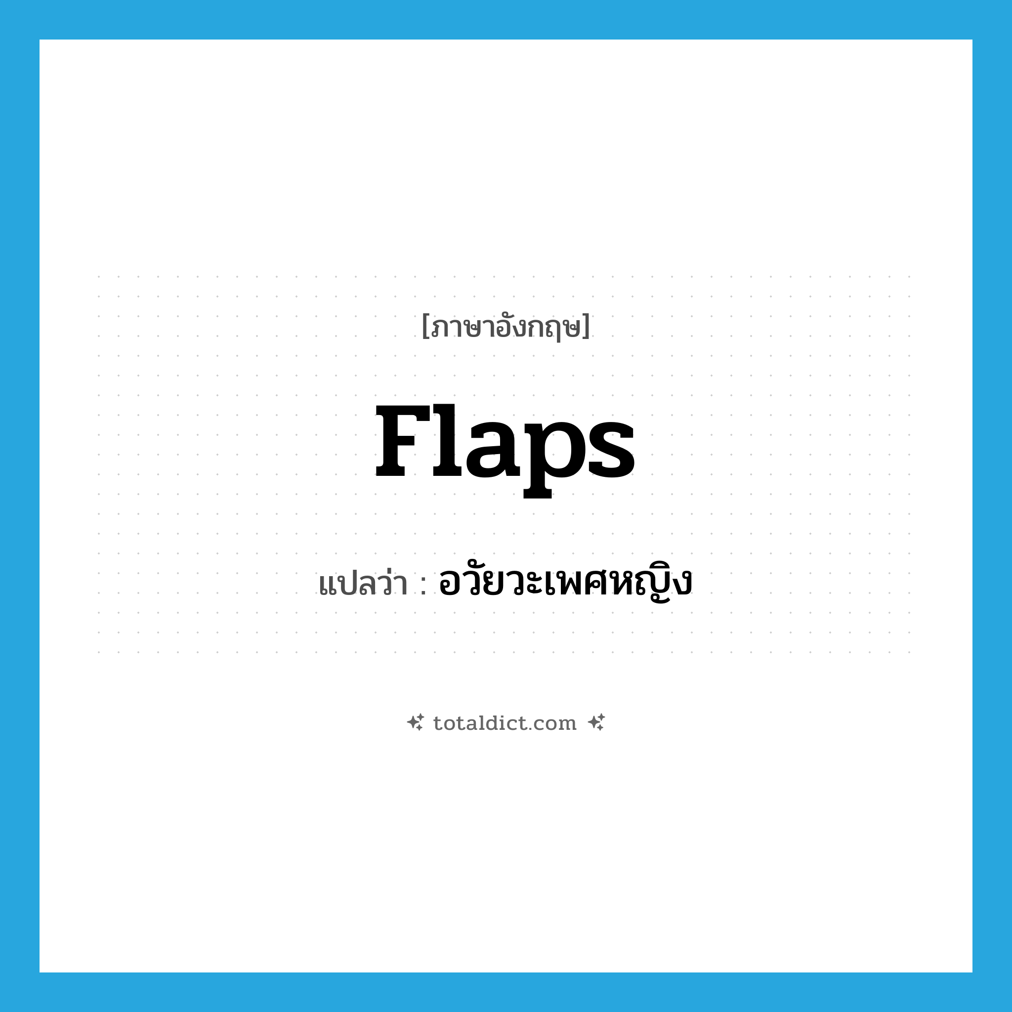 อวัยวะเพศหญิง ภาษาอังกฤษ?, คำศัพท์ภาษาอังกฤษ อวัยวะเพศหญิง แปลว่า flaps ประเภท SL หมวด SL
