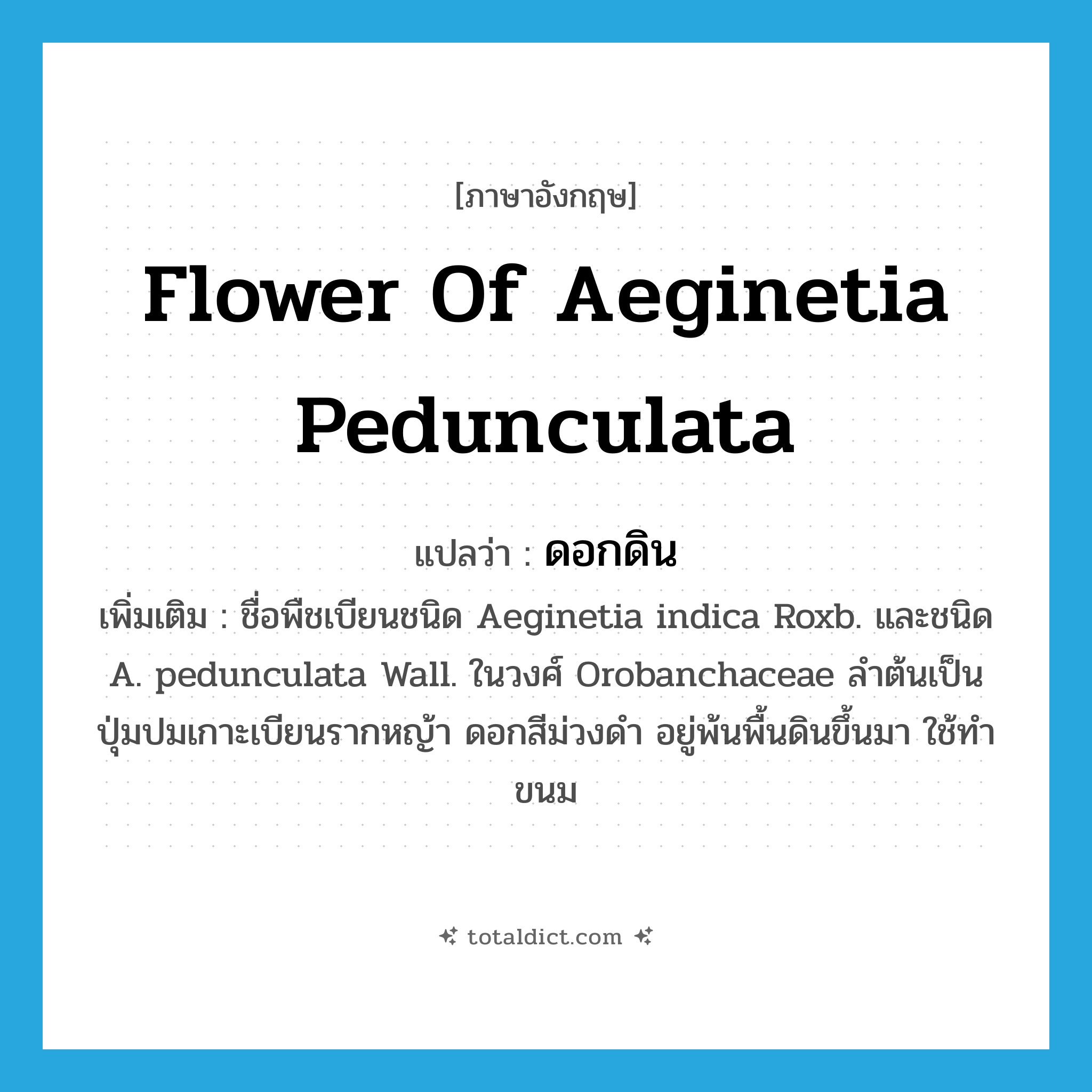 flower of Aeginetia pedunculata แปลว่า?, คำศัพท์ภาษาอังกฤษ flower of Aeginetia pedunculata แปลว่า ดอกดิน ประเภท N เพิ่มเติม ชื่อพืชเบียนชนิด Aeginetia indica Roxb. และชนิด A. pedunculata Wall. ในวงศ์ Orobanchaceae ลำต้นเป็นปุ่มปมเกาะเบียนรากหญ้า ดอกสีม่วงดำ อยู่พ้นพื้นดินขึ้นมา ใช้ทำขนม หมวด N
