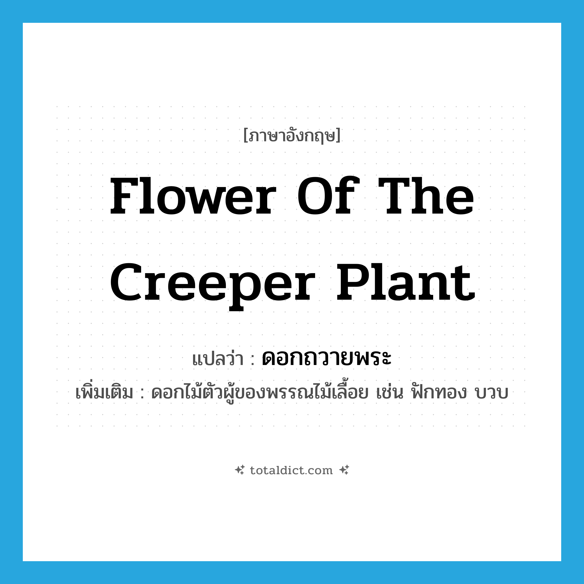 flower of the creeper plant แปลว่า?, คำศัพท์ภาษาอังกฤษ flower of the creeper plant แปลว่า ดอกถวายพระ ประเภท N เพิ่มเติม ดอกไม้ตัวผู้ของพรรณไม้เลื้อย เช่น ฟักทอง บวบ หมวด N