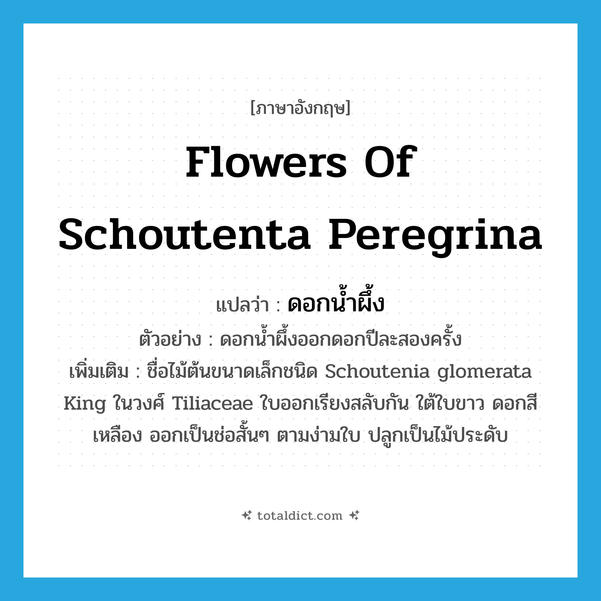 flowers of Schoutenta peregrina แปลว่า?, คำศัพท์ภาษาอังกฤษ flowers of Schoutenta peregrina แปลว่า ดอกน้ำผึ้ง ประเภท N ตัวอย่าง ดอกน้ำผึ้งออกดอกปีละสองครั้ง เพิ่มเติม ชื่อไม้ต้นขนาดเล็กชนิด Schoutenia glomerata King ในวงศ์ Tiliaceae ใบออกเรียงสลับกัน ใต้ใบขาว ดอกสีเหลือง ออกเป็นช่อสั้นๆ ตามง่ามใบ ปลูกเป็นไม้ประดับ หมวด N