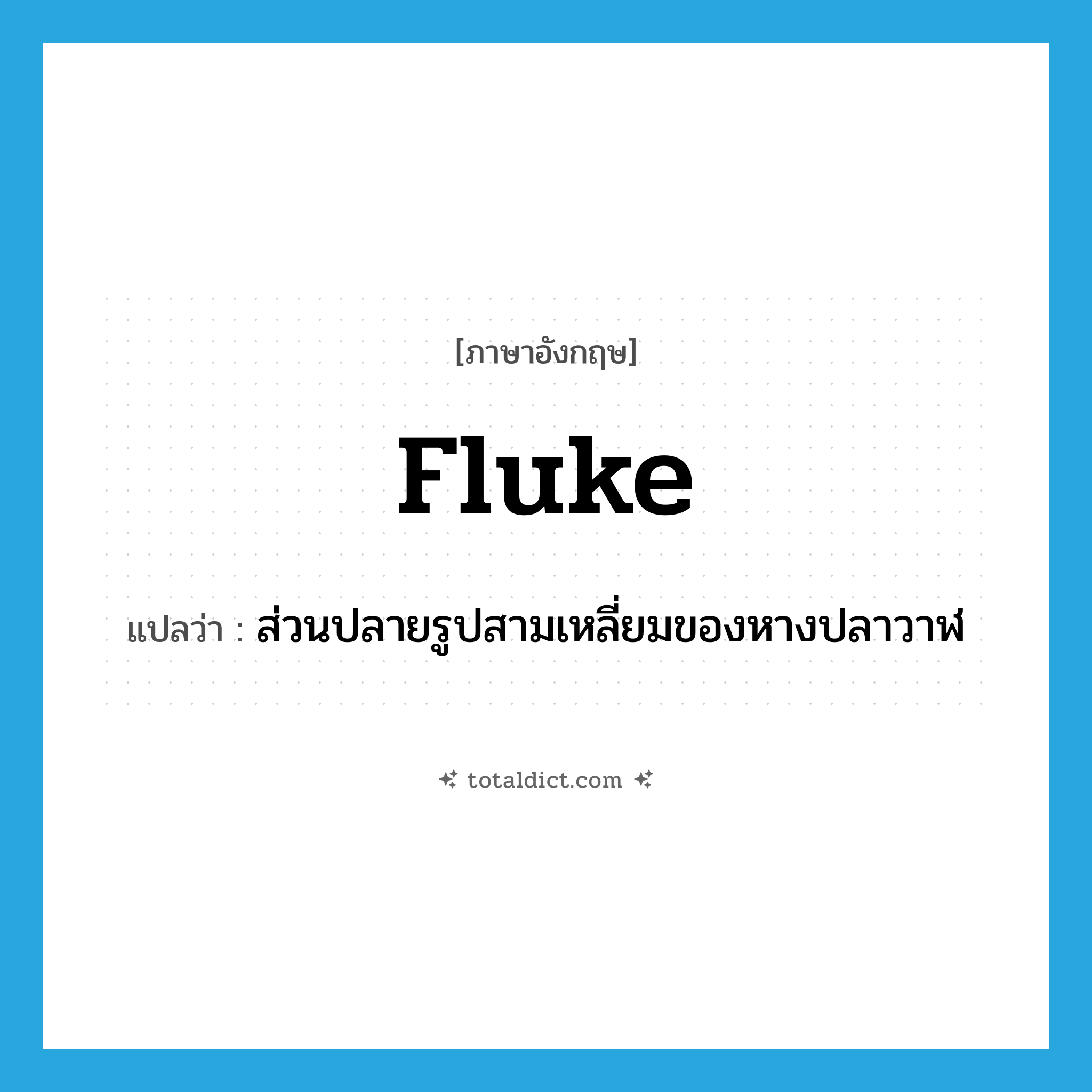 fluke แปลว่า?, คำศัพท์ภาษาอังกฤษ fluke แปลว่า ส่วนปลายรูปสามเหลี่ยมของหางปลาวาฬ ประเภท N หมวด N
