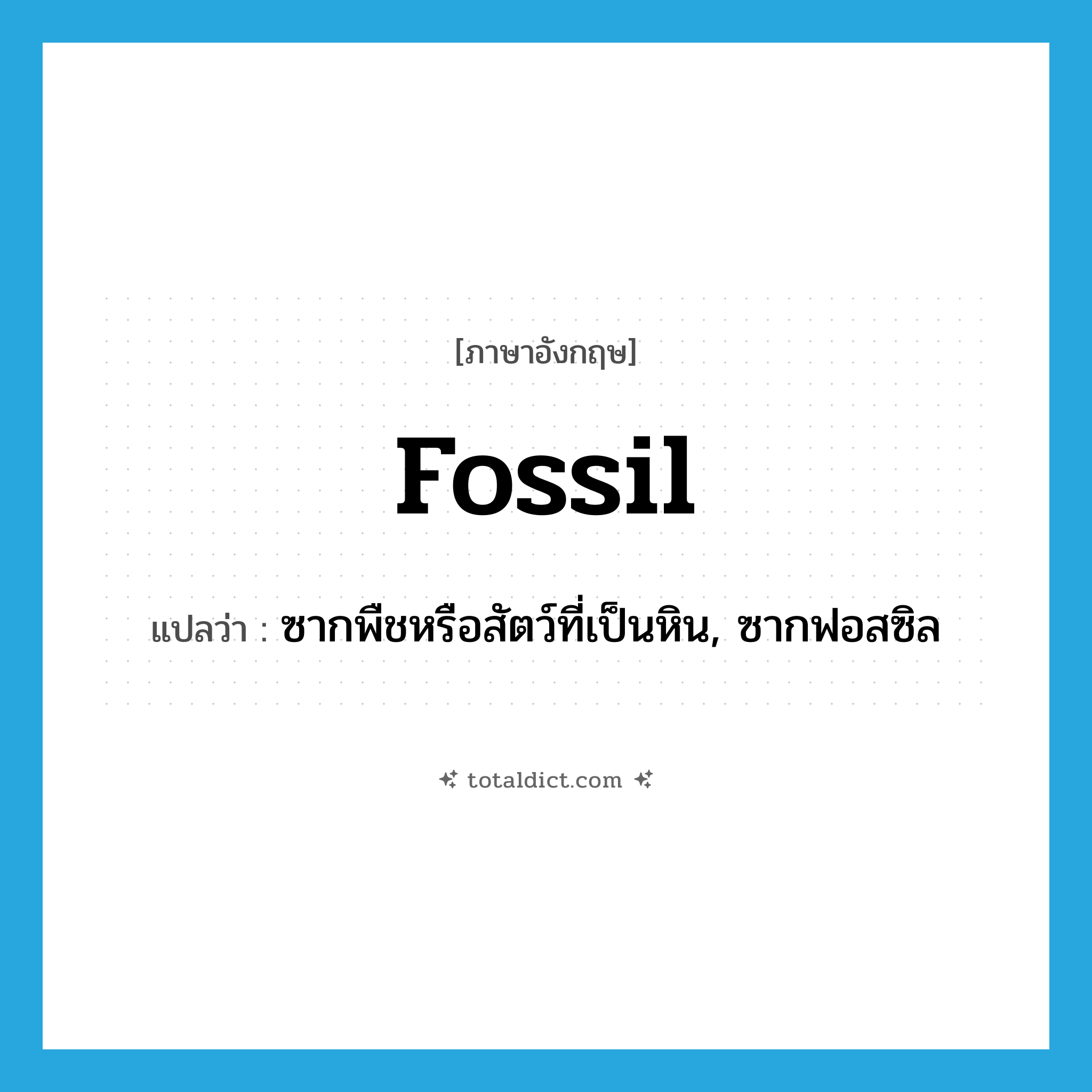 fossil แปลว่า?, คำศัพท์ภาษาอังกฤษ fossil แปลว่า ซากพืชหรือสัตว์ที่เป็นหิน, ซากฟอสซิล ประเภท N หมวด N