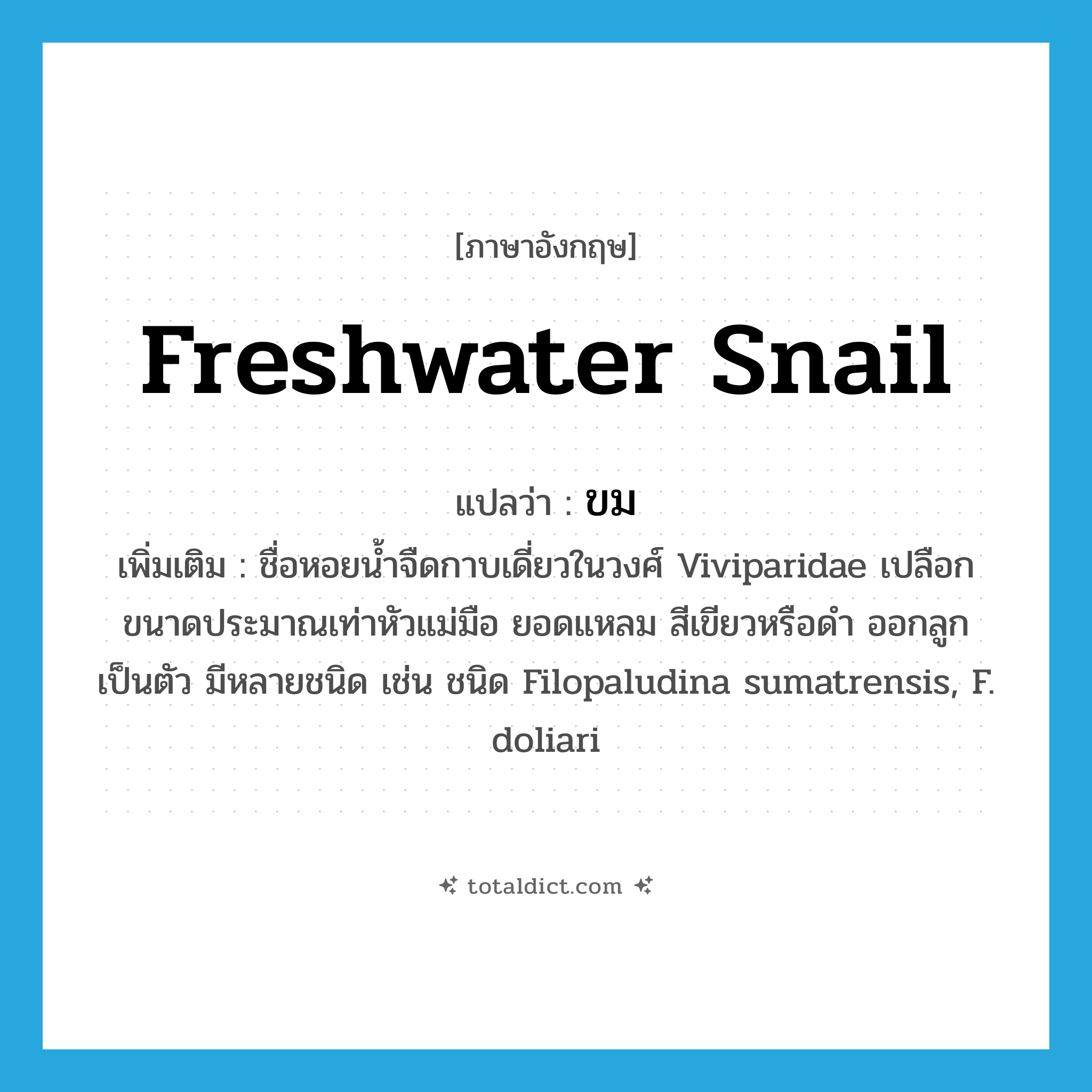 freshwater snail แปลว่า?, คำศัพท์ภาษาอังกฤษ freshwater snail แปลว่า ขม ประเภท N เพิ่มเติม ชื่อหอยน้ำจืดกาบเดี่ยวในวงศ์ Viviparidae เปลือกขนาดประมาณเท่าหัวแม่มือ ยอดแหลม สีเขียวหรือดำ ออกลูกเป็นตัว มีหลายชนิด เช่น ชนิด Filopaludina sumatrensis, F. doliari หมวด N