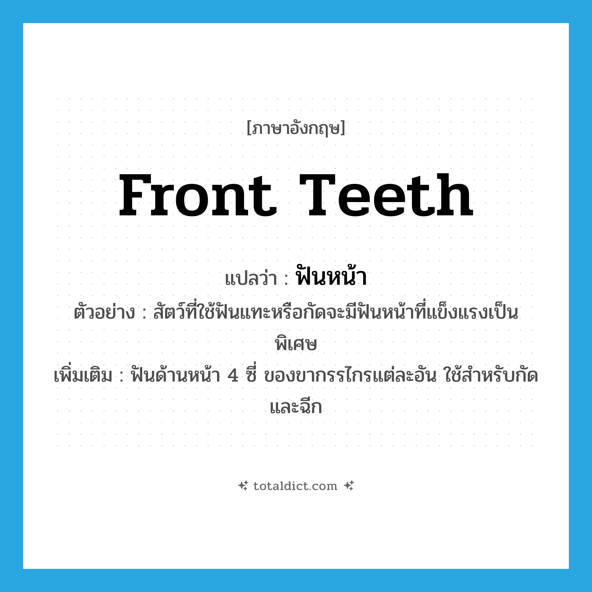 front teeth แปลว่า?, คำศัพท์ภาษาอังกฤษ front teeth แปลว่า ฟันหน้า ประเภท N ตัวอย่าง สัตว์ที่ใช้ฟันแทะหรือกัดจะมีฟันหน้าที่แข็งแรงเป็นพิเศษ เพิ่มเติม ฟันด้านหน้า 4 ซี่ ของขากรรไกรแต่ละอัน ใช้สำหรับกัดและฉีก หมวด N