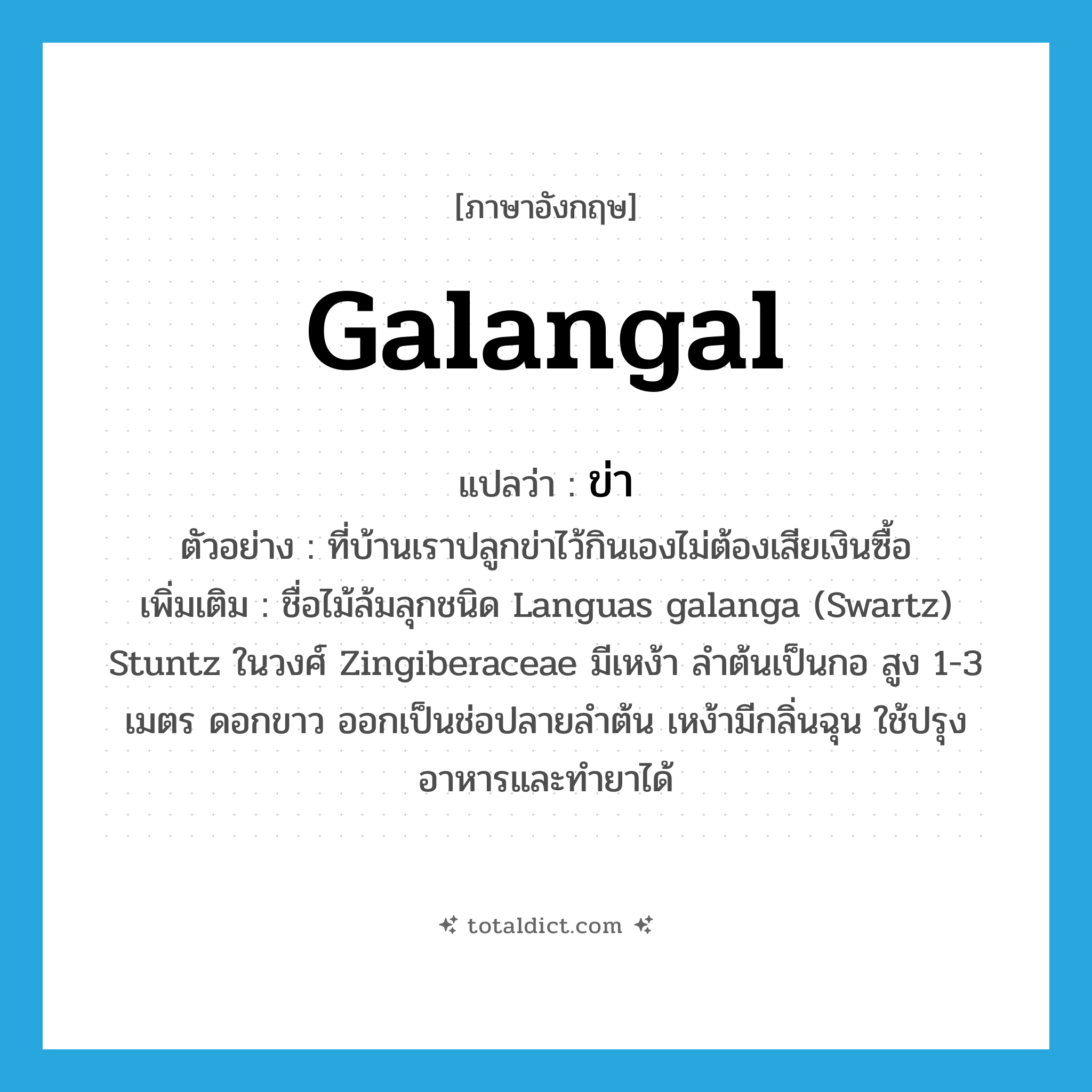 galangal แปลว่า?, คำศัพท์ภาษาอังกฤษ galangal แปลว่า ข่า ประเภท N ตัวอย่าง ที่บ้านเราปลูกข่าไว้กินเองไม่ต้องเสียเงินซื้อ เพิ่มเติม ชื่อไม้ล้มลุกชนิด Languas galanga (Swartz) Stuntz ในวงศ์ Zingiberaceae มีเหง้า ลำต้นเป็นกอ สูง 1-3 เมตร ดอกขาว ออกเป็นช่อปลายลำต้น เหง้ามีกลิ่นฉุน ใช้ปรุงอาหารและทำยาได้ หมวด N