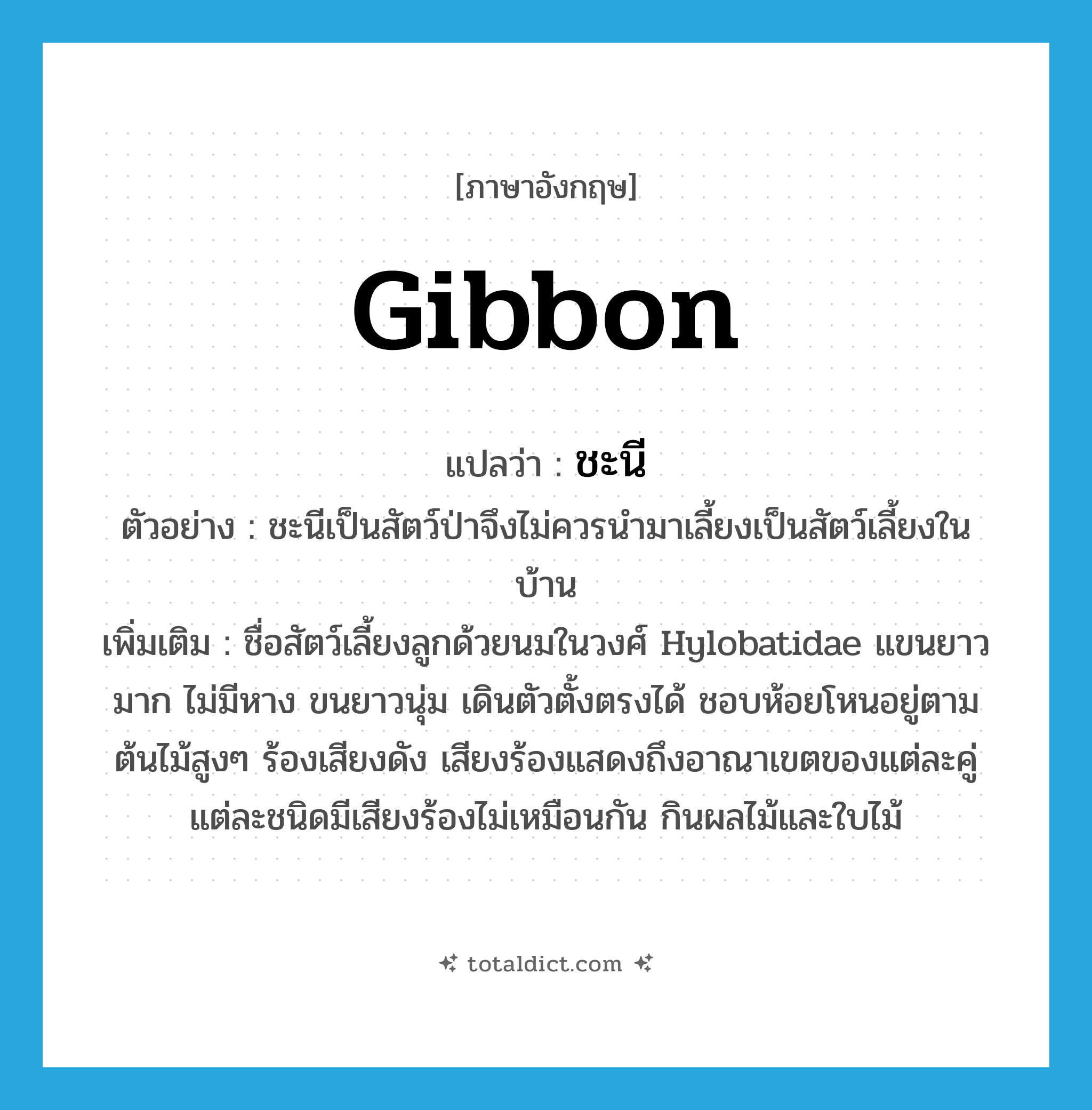 gibbon แปลว่า?, คำศัพท์ภาษาอังกฤษ gibbon แปลว่า ชะนี ประเภท N ตัวอย่าง ชะนีเป็นสัตว์ป่าจึงไม่ควรนำมาเลี้ยงเป็นสัตว์เลี้ยงในบ้าน เพิ่มเติม ชื่อสัตว์เลี้ยงลูกด้วยนมในวงศ์ Hylobatidae แขนยาวมาก ไม่มีหาง ขนยาวนุ่ม เดินตัวตั้งตรงได้ ชอบห้อยโหนอยู่ตามต้นไม้สูงๆ ร้องเสียงดัง เสียงร้องแสดงถึงอาณาเขตของแต่ละคู่ แต่ละชนิดมีเสียงร้องไม่เหมือนกัน กินผลไม้และใบไม้ หมวด N