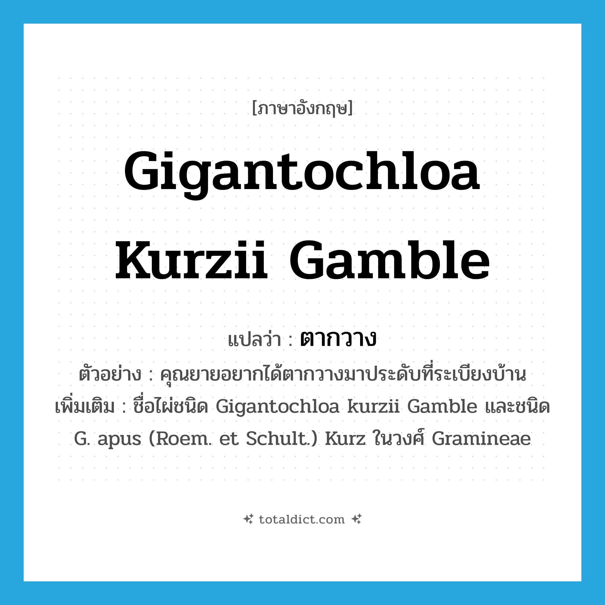 Gigantochloa kurzii Gamble แปลว่า?, คำศัพท์ภาษาอังกฤษ Gigantochloa kurzii Gamble แปลว่า ตากวาง ประเภท N ตัวอย่าง คุณยายอยากได้ตากวางมาประดับที่ระเบียงบ้าน เพิ่มเติม ชื่อไผ่ชนิด Gigantochloa kurzii Gamble และชนิด G. apus (Roem. et Schult.) Kurz ในวงศ์ Gramineae หมวด N