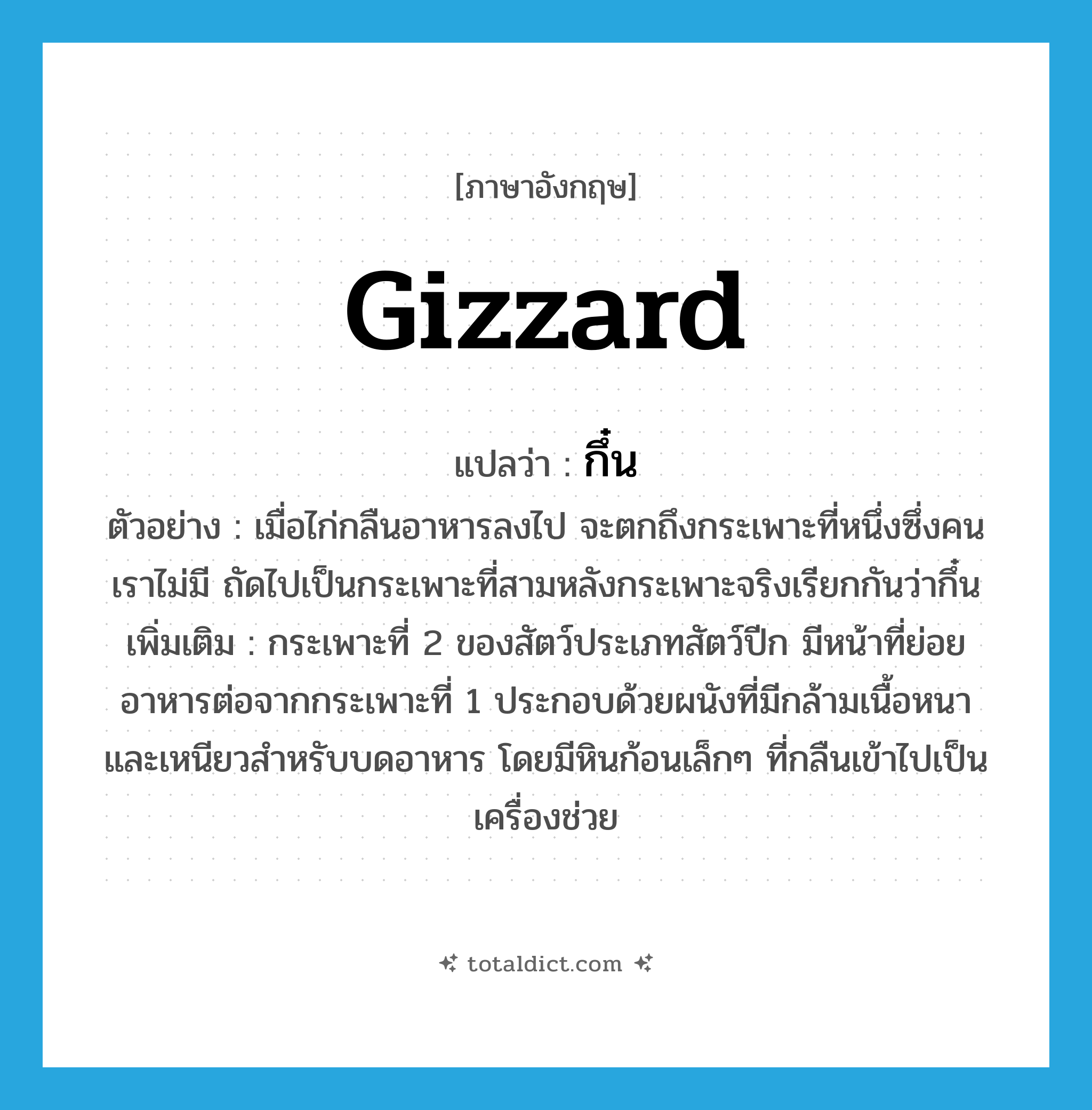 gizzard แปลว่า?, คำศัพท์ภาษาอังกฤษ gizzard แปลว่า กึ๋น ประเภท N ตัวอย่าง เมื่อไก่กลืนอาหารลงไป จะตกถึงกระเพาะที่หนึ่งซึ่งคนเราไม่มี ถัดไปเป็นกระเพาะที่สามหลังกระเพาะจริงเรียกกันว่ากึ๋น เพิ่มเติม กระเพาะที่ 2 ของสัตว์ประเภทสัตว์ปีก มีหน้าที่ย่อยอาหารต่อจากกระเพาะที่ 1 ประกอบด้วยผนังที่มีกล้ามเนื้อหนาและเหนียวสำหรับบดอาหาร โดยมีหินก้อนเล็กๆ ที่กลืนเข้าไปเป็นเครื่องช่วย หมวด N