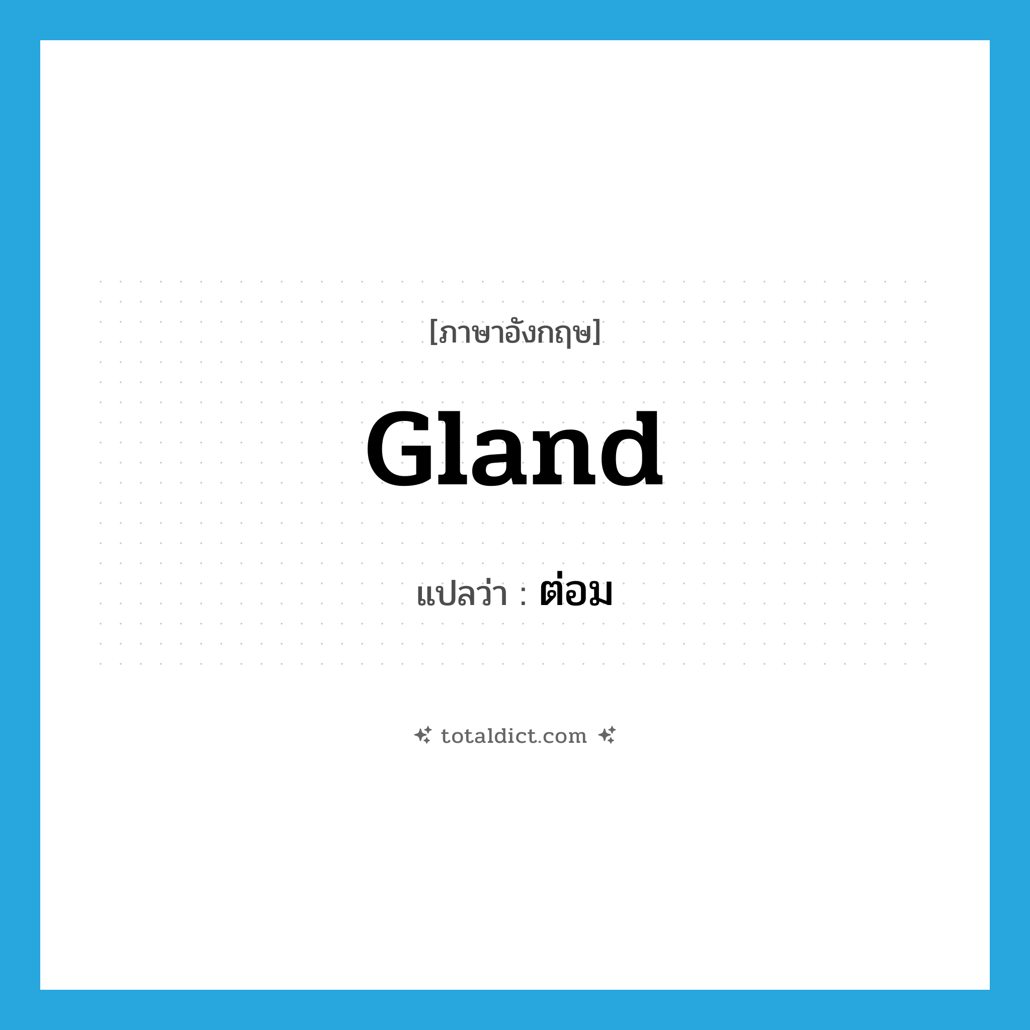 gland แปลว่า?, คำศัพท์ภาษาอังกฤษ gland แปลว่า ต่อม ประเภท N หมวด N