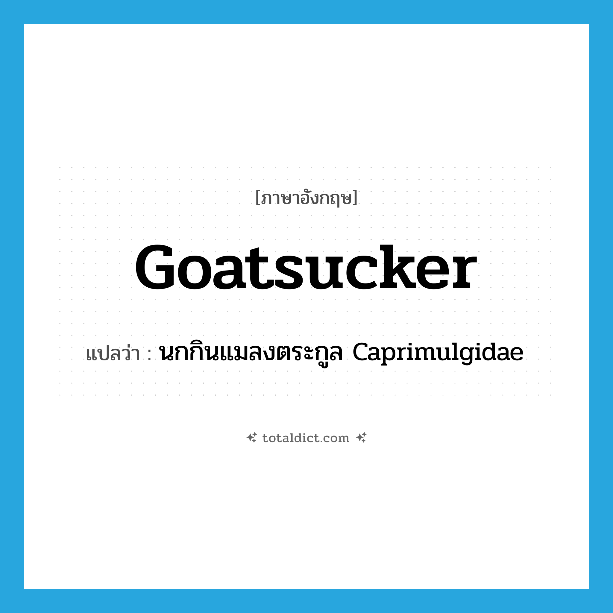 goatsucker แปลว่า?, คำศัพท์ภาษาอังกฤษ goatsucker แปลว่า นกกินแมลงตระกูล Caprimulgidae ประเภท N หมวด N