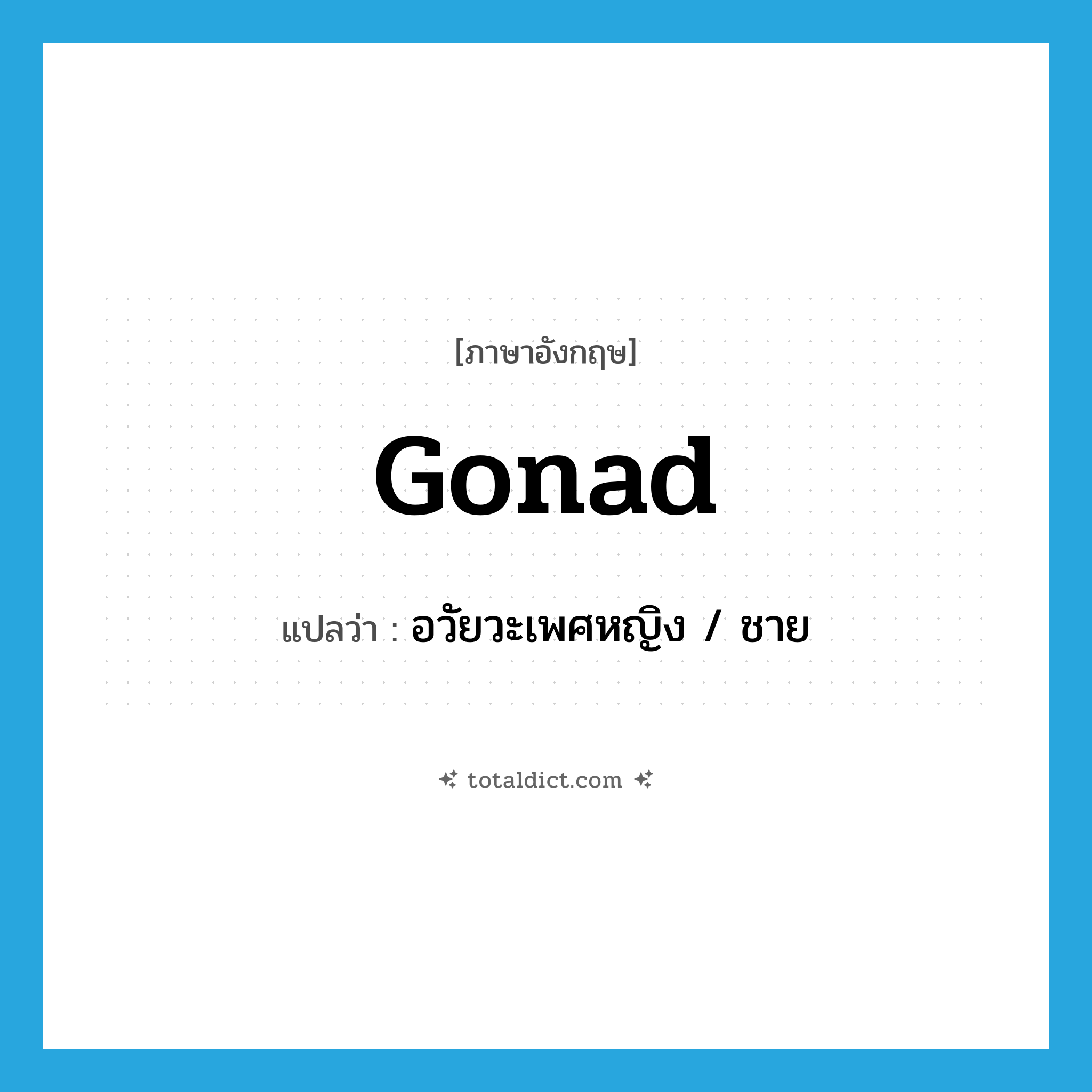 gonad แปลว่า?, คำศัพท์ภาษาอังกฤษ gonad แปลว่า อวัยวะเพศหญิง / ชาย ประเภท N หมวด N