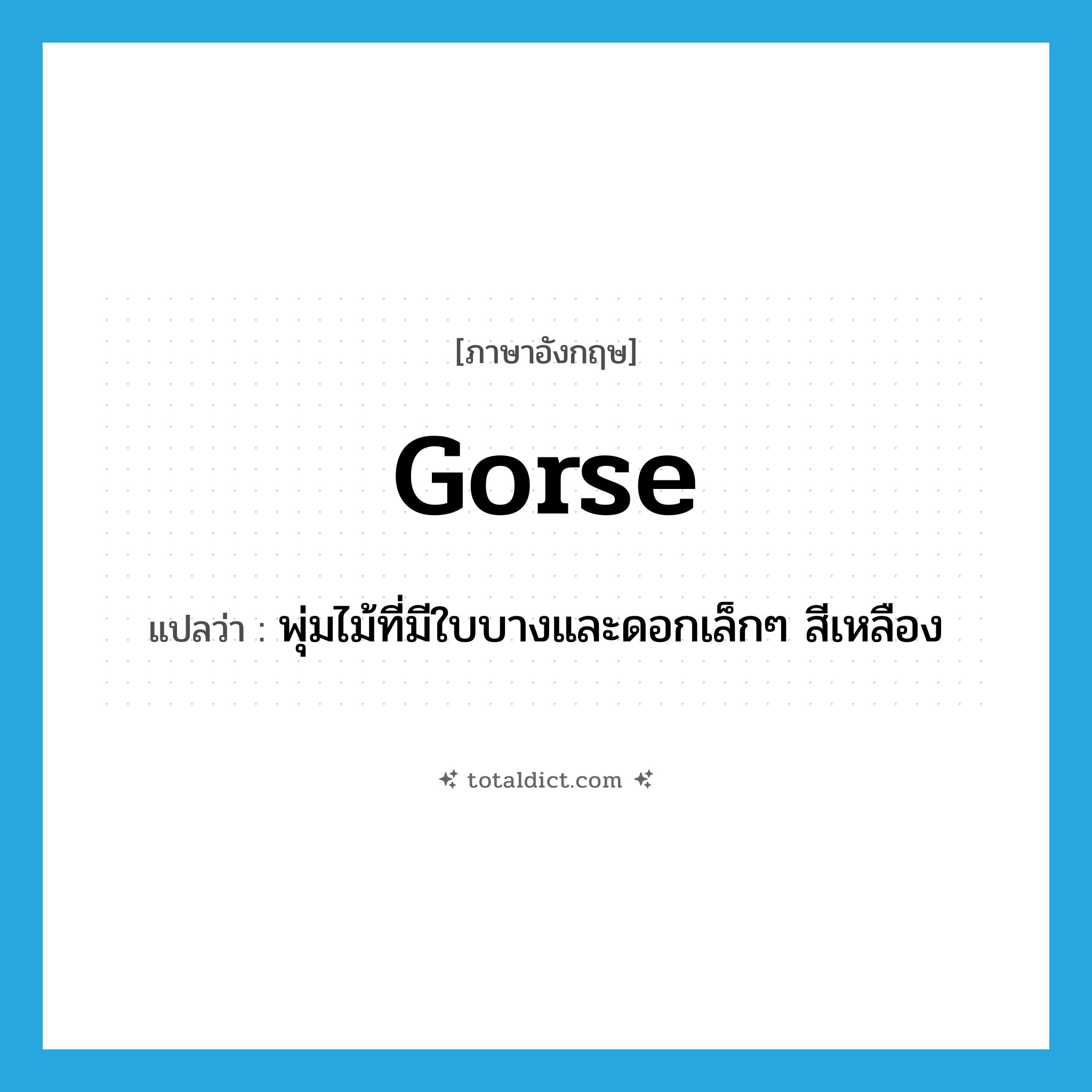 gorse แปลว่า?, คำศัพท์ภาษาอังกฤษ gorse แปลว่า พุ่มไม้ที่มีใบบางและดอกเล็กๆ สีเหลือง ประเภท N หมวด N
