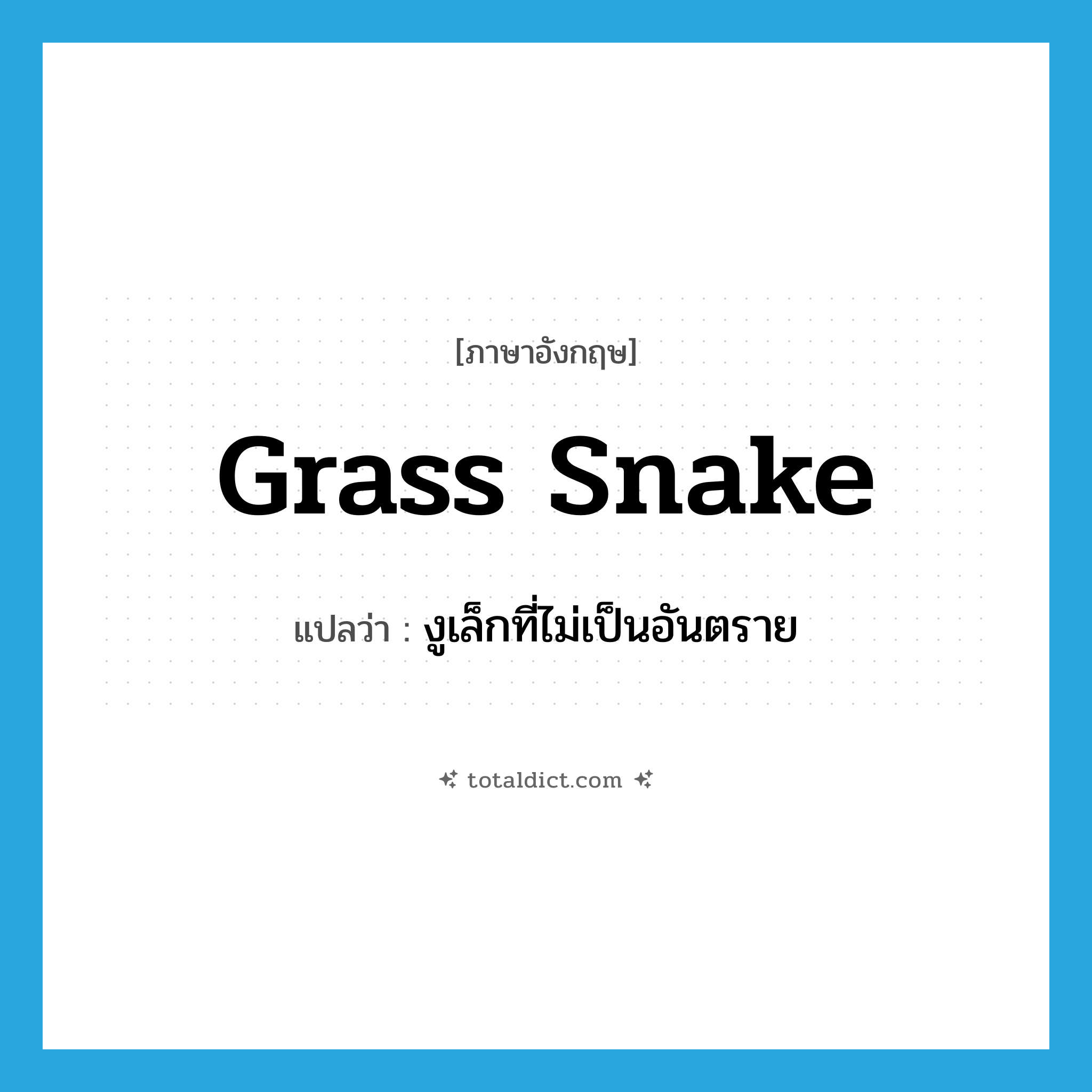 grass snake แปลว่า?, คำศัพท์ภาษาอังกฤษ grass snake แปลว่า งูเล็กที่ไม่เป็นอันตราย ประเภท N หมวด N