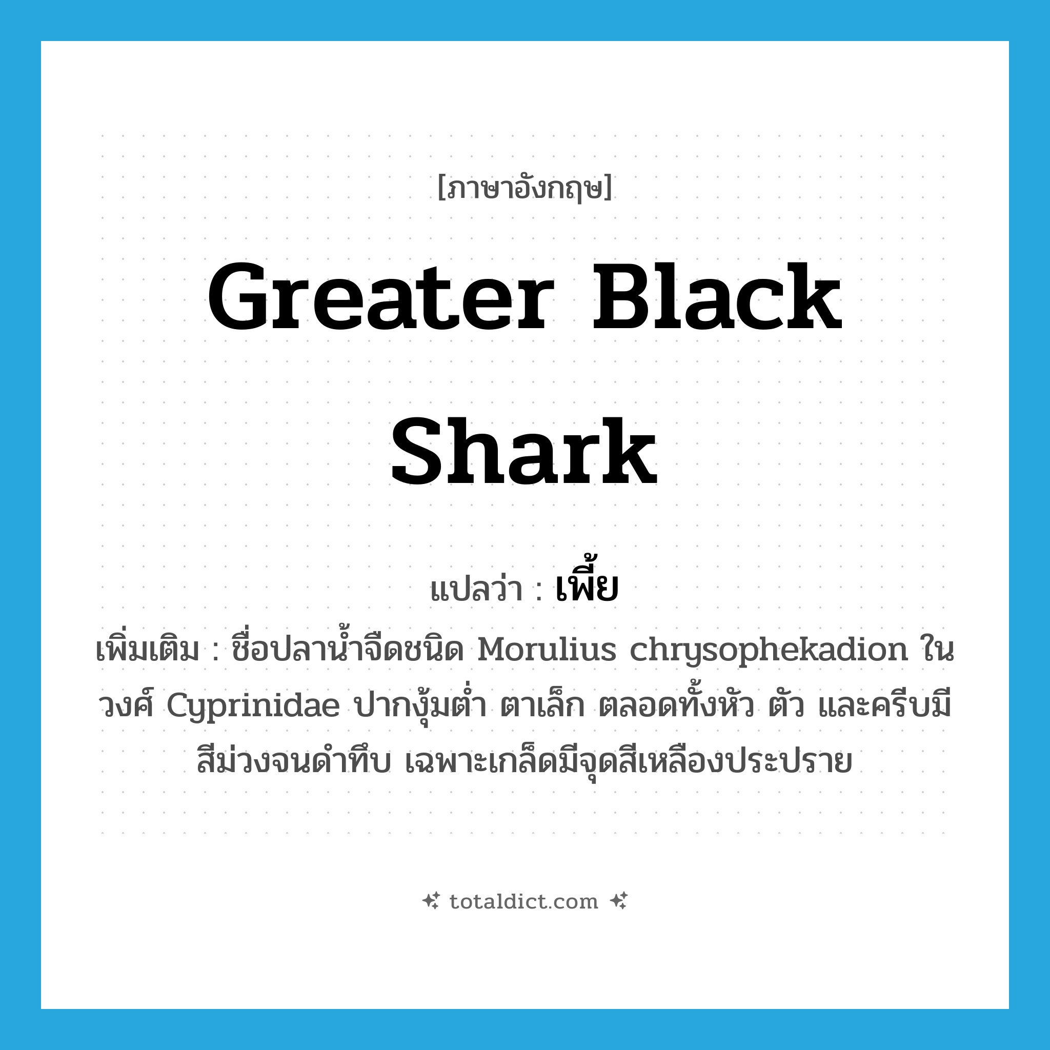 Greater black shark แปลว่า?, คำศัพท์ภาษาอังกฤษ Greater black shark แปลว่า เพี้ย ประเภท N เพิ่มเติม ชื่อปลาน้ำจืดชนิด Morulius chrysophekadion ในวงศ์ Cyprinidae ปากงุ้มต่ำ ตาเล็ก ตลอดทั้งหัว ตัว และครีบมีสีม่วงจนดำทึบ เฉพาะเกล็ดมีจุดสีเหลืองประปราย หมวด N