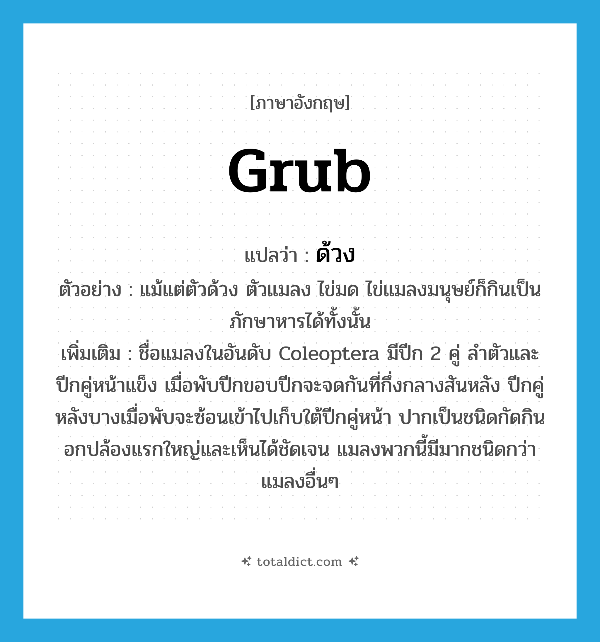 grub แปลว่า?, คำศัพท์ภาษาอังกฤษ grub แปลว่า ด้วง ประเภท N ตัวอย่าง แม้แต่ตัวด้วง ตัวแมลง ไข่มด ไข่แมลงมนุษย์ก็กินเป็นภักษาหารได้ทั้งนั้น เพิ่มเติม ชื่อแมลงในอันดับ Coleoptera มีปีก 2 คู่ ลำตัวและปีกคู่หน้าแข็ง เมื่อพับปีกขอบปีกจะจดกันที่กึ่งกลางสันหลัง ปีกคู่หลังบางเมื่อพับจะซ้อนเข้าไปเก็บใต้ปีกคู่หน้า ปากเป็นชนิดกัดกิน อกปล้องแรกใหญ่และเห็นได้ชัดเจน แมลงพวกนี้มีมากชนิดกว่าแมลงอื่นๆ หมวด N
