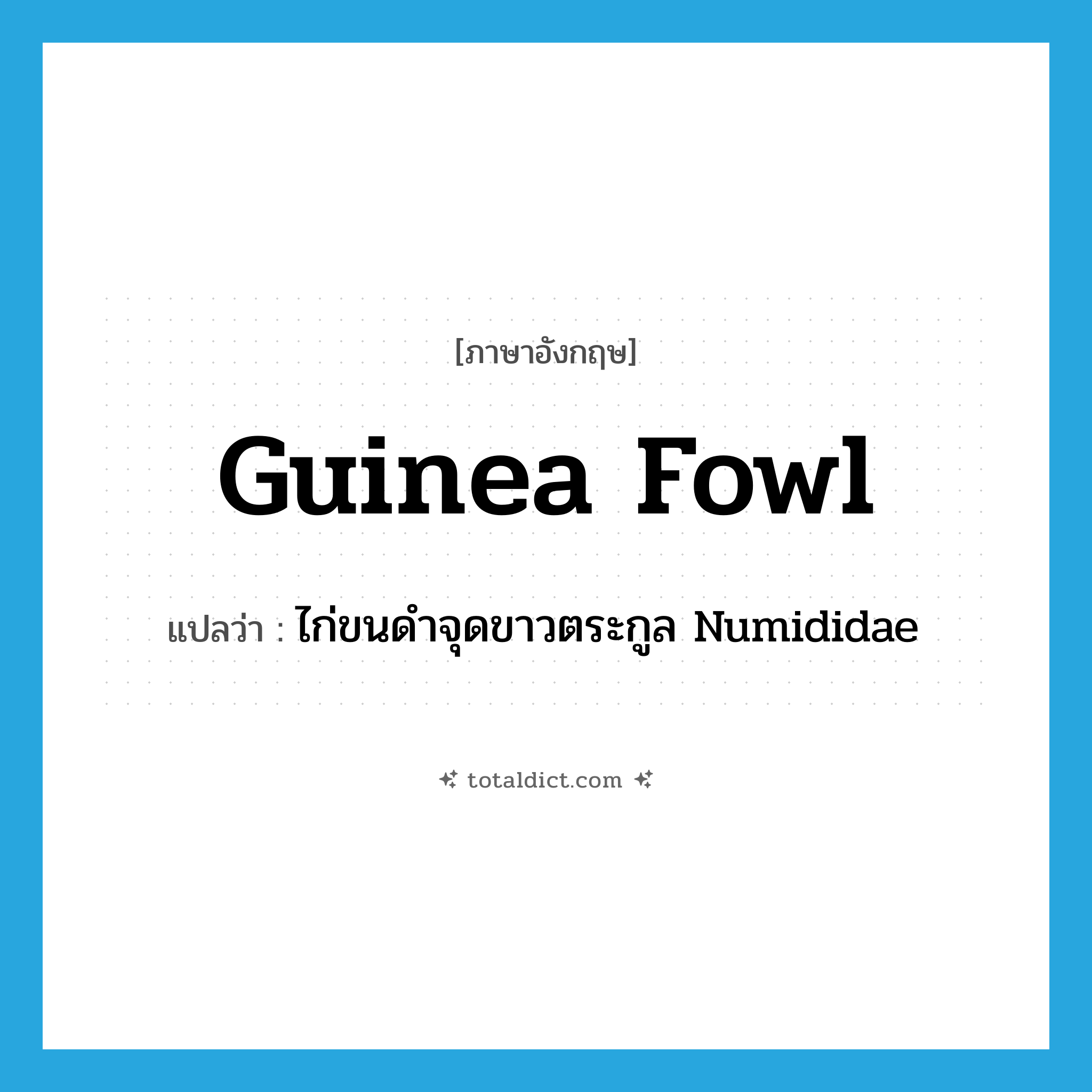 guinea fowl แปลว่า?, คำศัพท์ภาษาอังกฤษ guinea fowl แปลว่า ไก่ขนดำจุดขาวตระกูล Numididae ประเภท N หมวด N