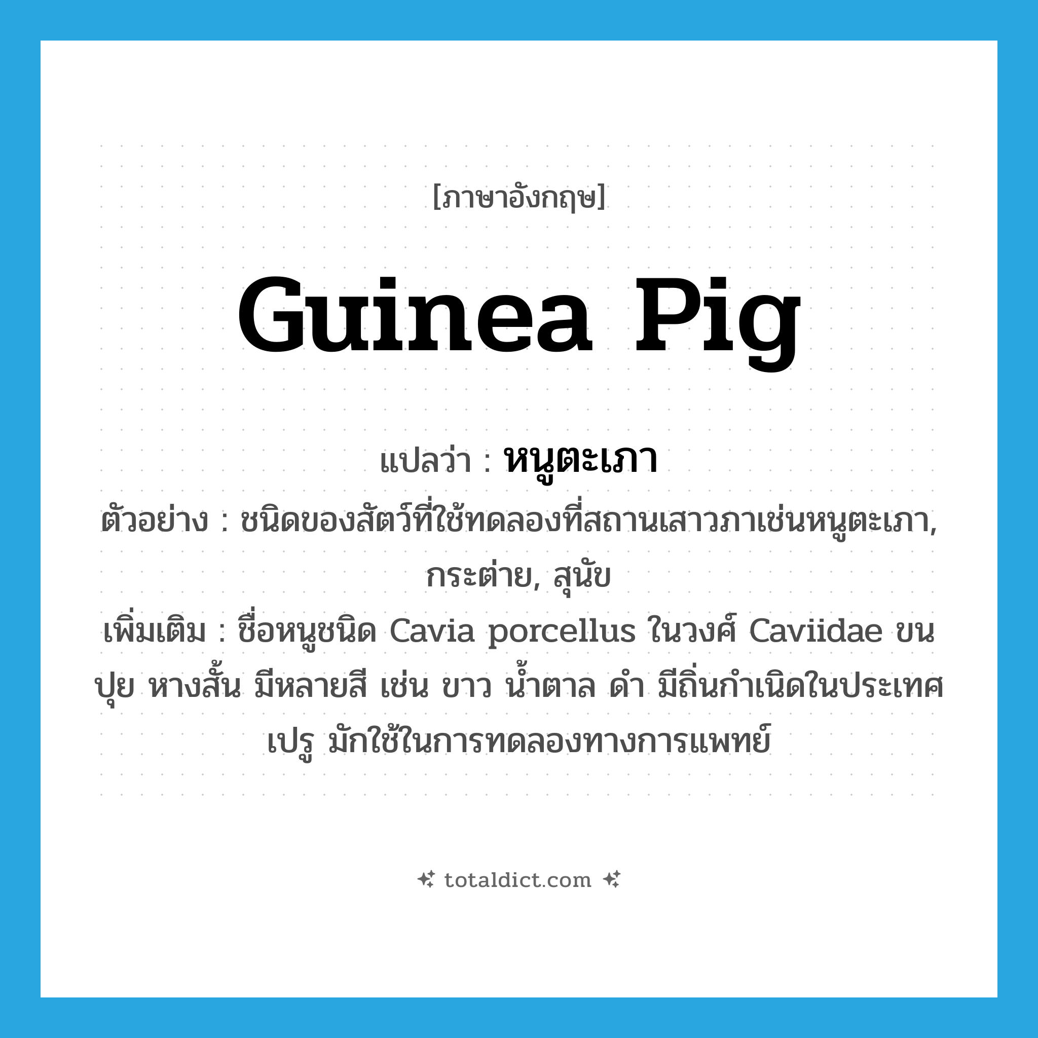 guinea pig แปลว่า?, คำศัพท์ภาษาอังกฤษ guinea pig แปลว่า หนูตะเภา ประเภท N ตัวอย่าง ชนิดของสัตว์ที่ใช้ทดลองที่สถานเสาวภาเช่นหนูตะเภา, กระต่าย, สุนัข เพิ่มเติม ชื่อหนูชนิด Cavia porcellus ในวงศ์ Caviidae ขนปุย หางสั้น มีหลายสี เช่น ขาว น้ำตาล ดำ มีถิ่นกำเนิดในประเทศเปรู มักใช้ในการทดลองทางการแพทย์ หมวด N