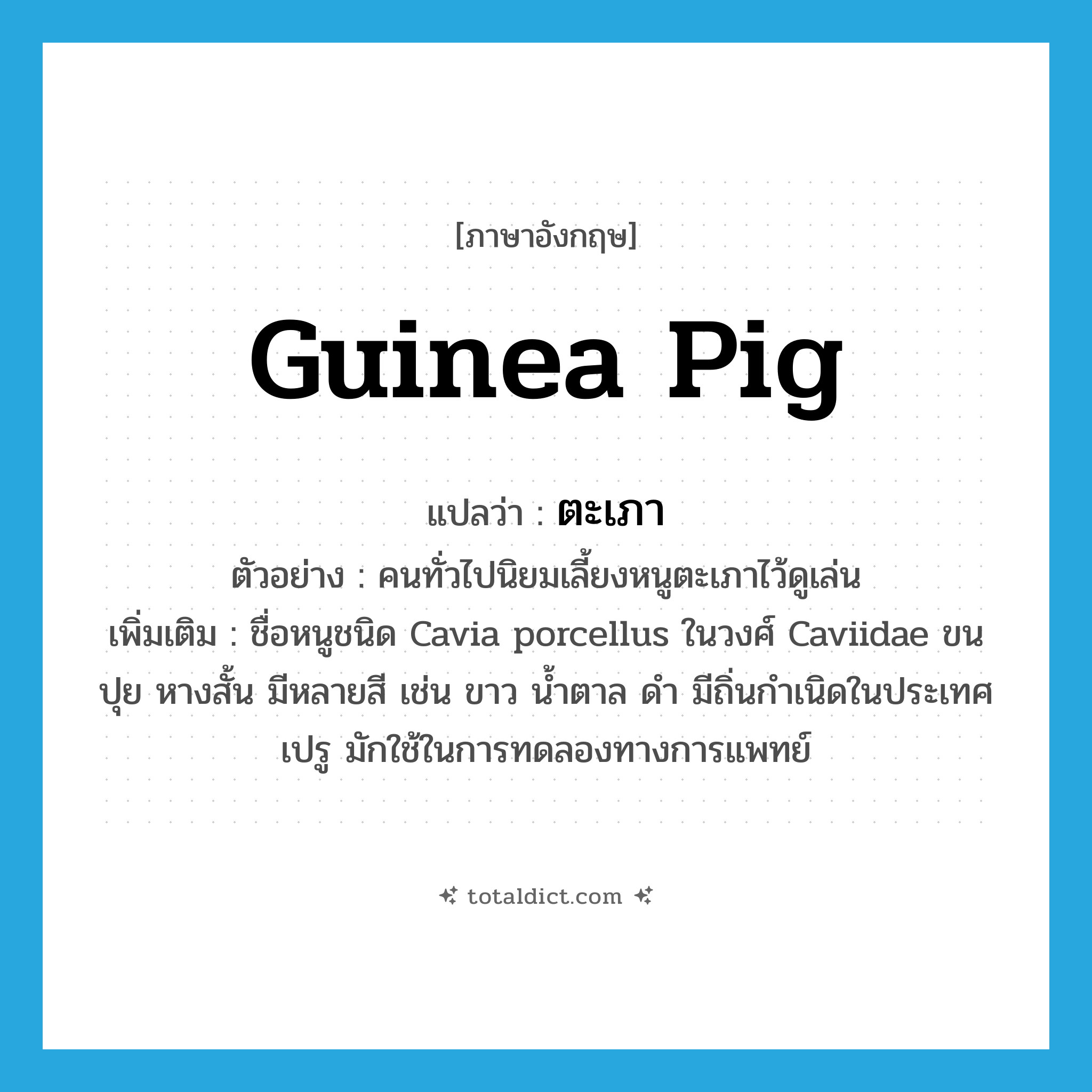 guinea pig แปลว่า?, คำศัพท์ภาษาอังกฤษ guinea pig แปลว่า ตะเภา ประเภท N ตัวอย่าง คนทั่วไปนิยมเลี้ยงหนูตะเภาไว้ดูเล่น เพิ่มเติม ชื่อหนูชนิด Cavia porcellus ในวงศ์ Caviidae ขนปุย หางสั้น มีหลายสี เช่น ขาว น้ำตาล ดำ มีถิ่นกำเนิดในประเทศเปรู มักใช้ในการทดลองทางการแพทย์ หมวด N