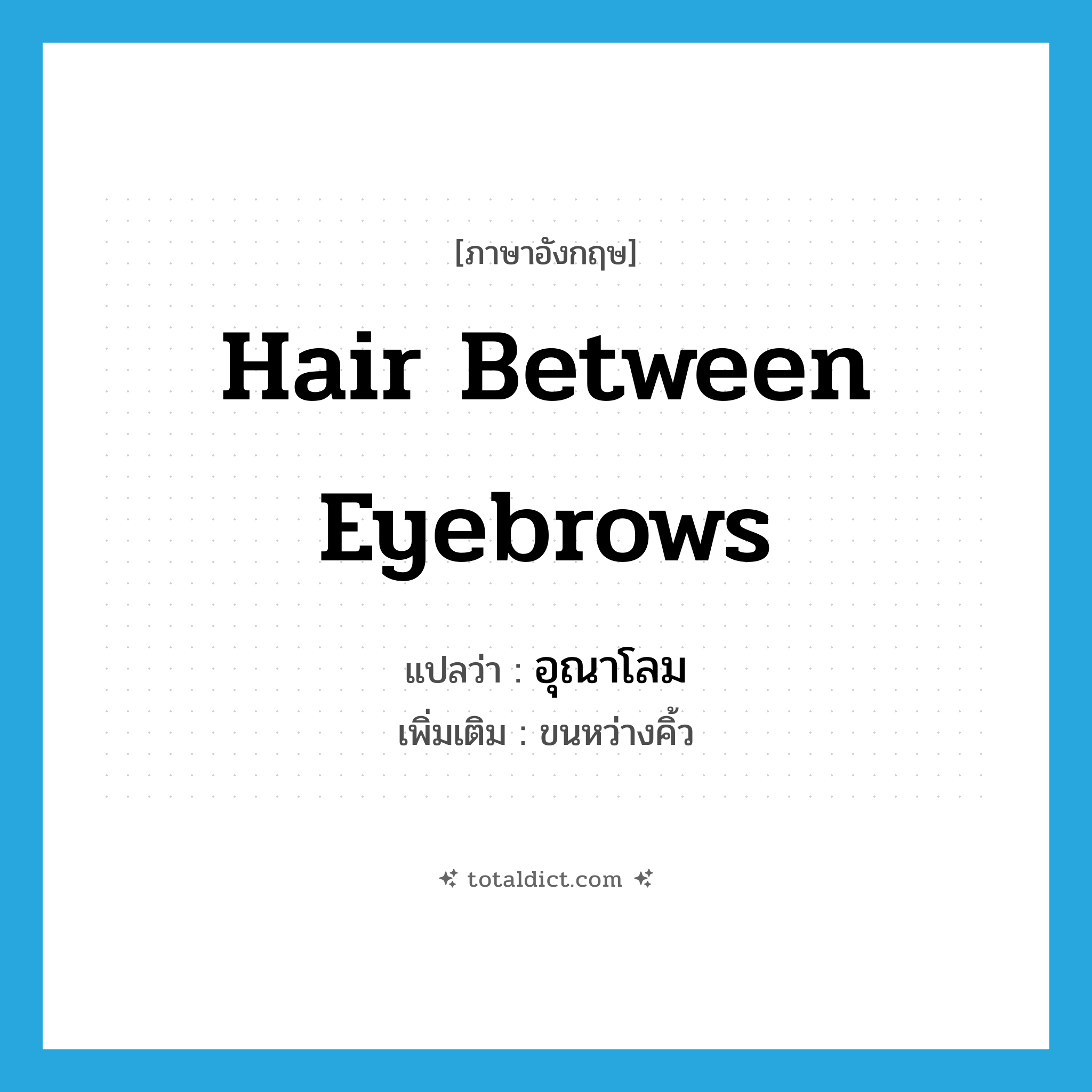 hair between eyebrows แปลว่า?, คำศัพท์ภาษาอังกฤษ hair between eyebrows แปลว่า อุณาโลม ประเภท N เพิ่มเติม ขนหว่างคิ้ว หมวด N