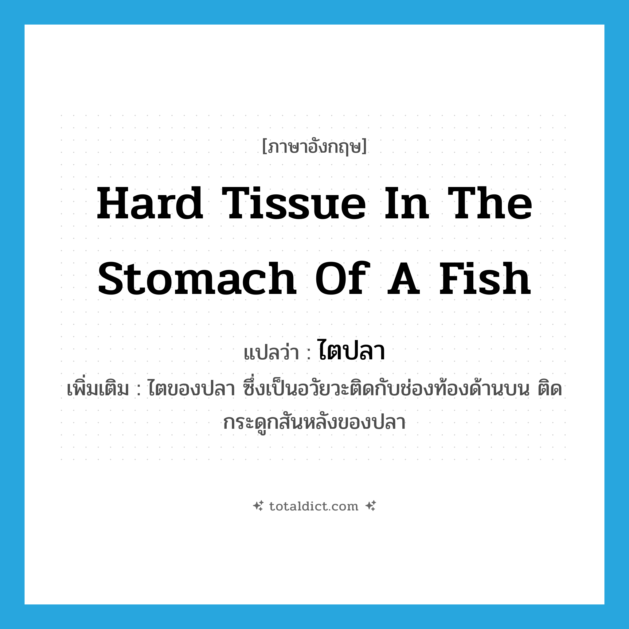 hard tissue in the stomach of a fish แปลว่า?, คำศัพท์ภาษาอังกฤษ hard tissue in the stomach of a fish แปลว่า ไตปลา ประเภท N เพิ่มเติม ไตของปลา ซึ่งเป็นอวัยวะติดกับช่องท้องด้านบน ติดกระดูกสันหลังของปลา หมวด N