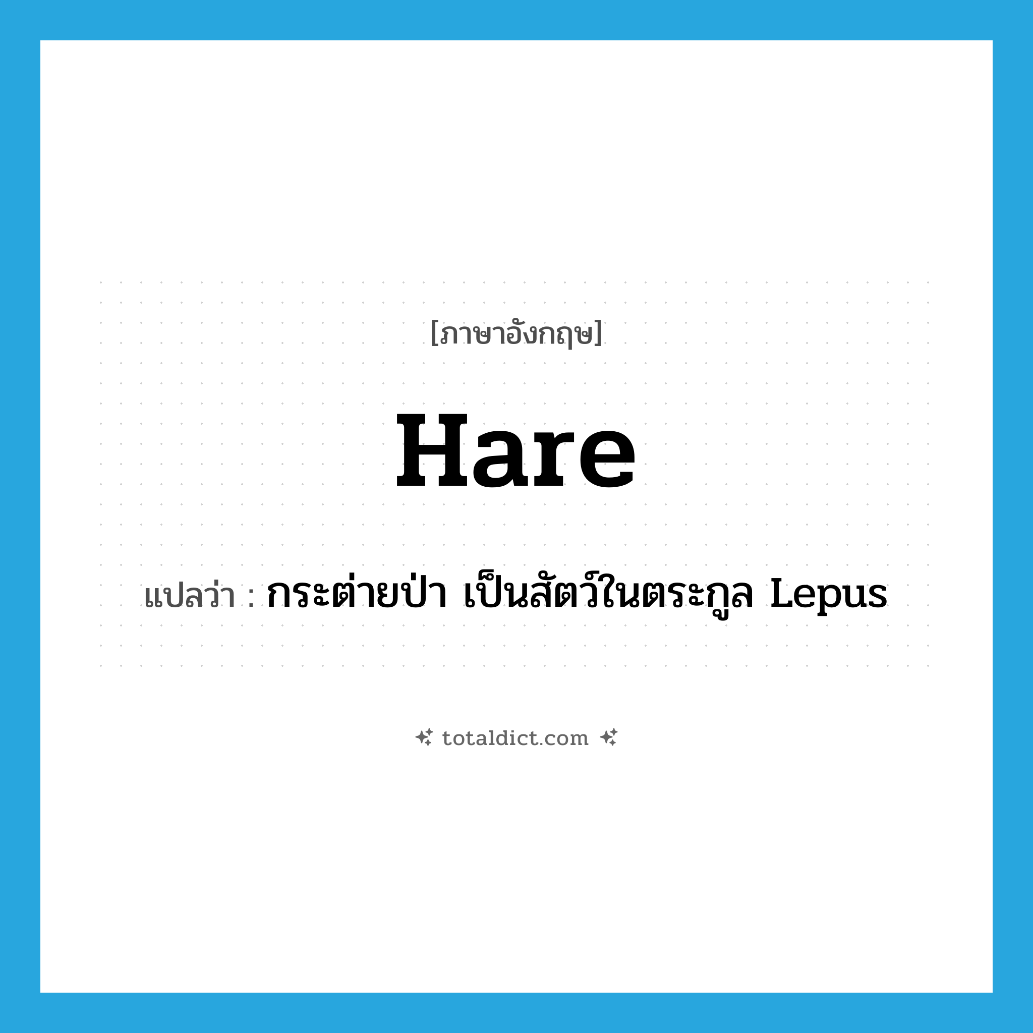 hare แปลว่า?, คำศัพท์ภาษาอังกฤษ hare แปลว่า กระต่ายป่า เป็นสัตว์ในตระกูล Lepus ประเภท N หมวด N
