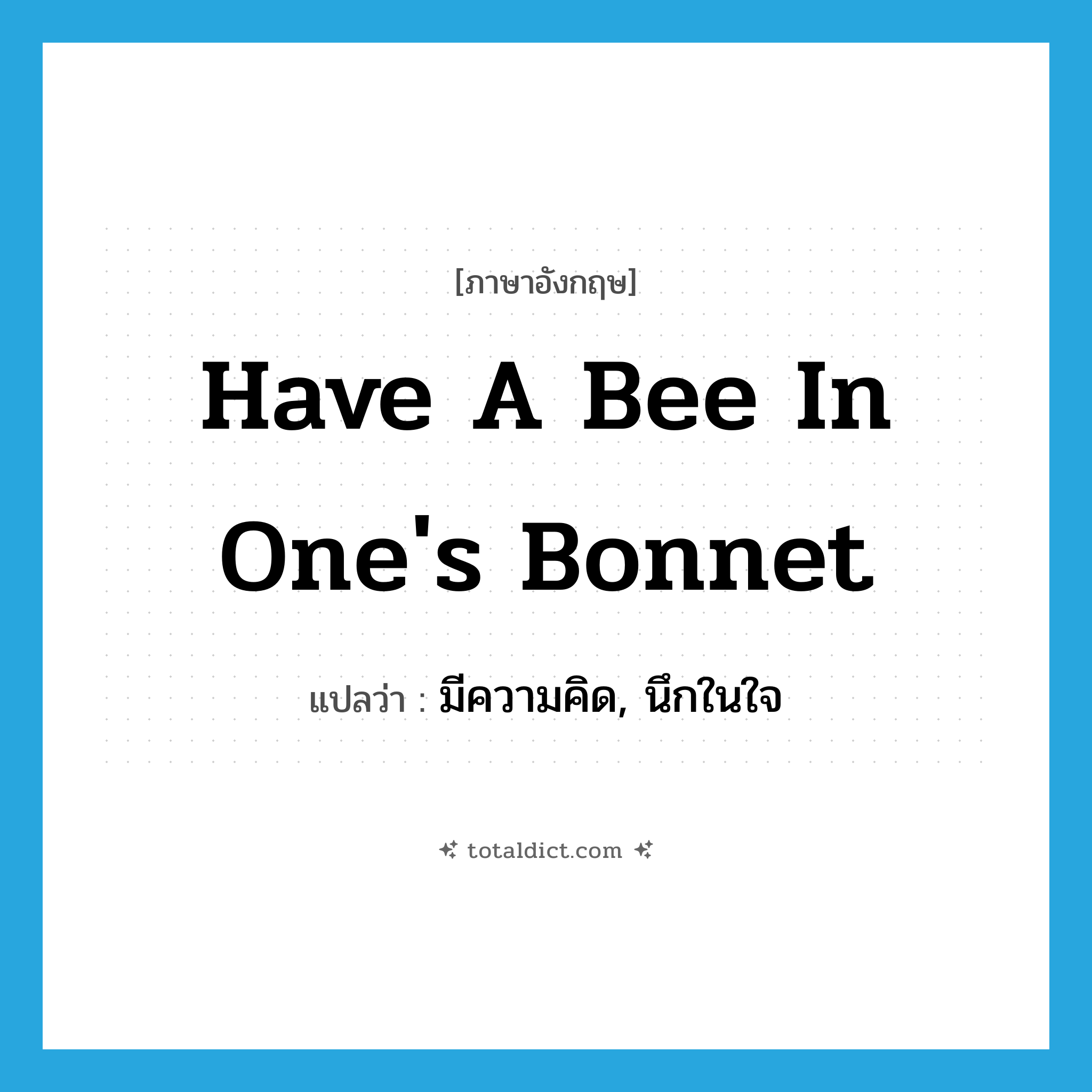 have a bee in one&#39;s bonnet แปลว่า?, คำศัพท์ภาษาอังกฤษ have a bee in one&#39;s bonnet แปลว่า มีความคิด, นึกในใจ ประเภท IDM หมวด IDM
