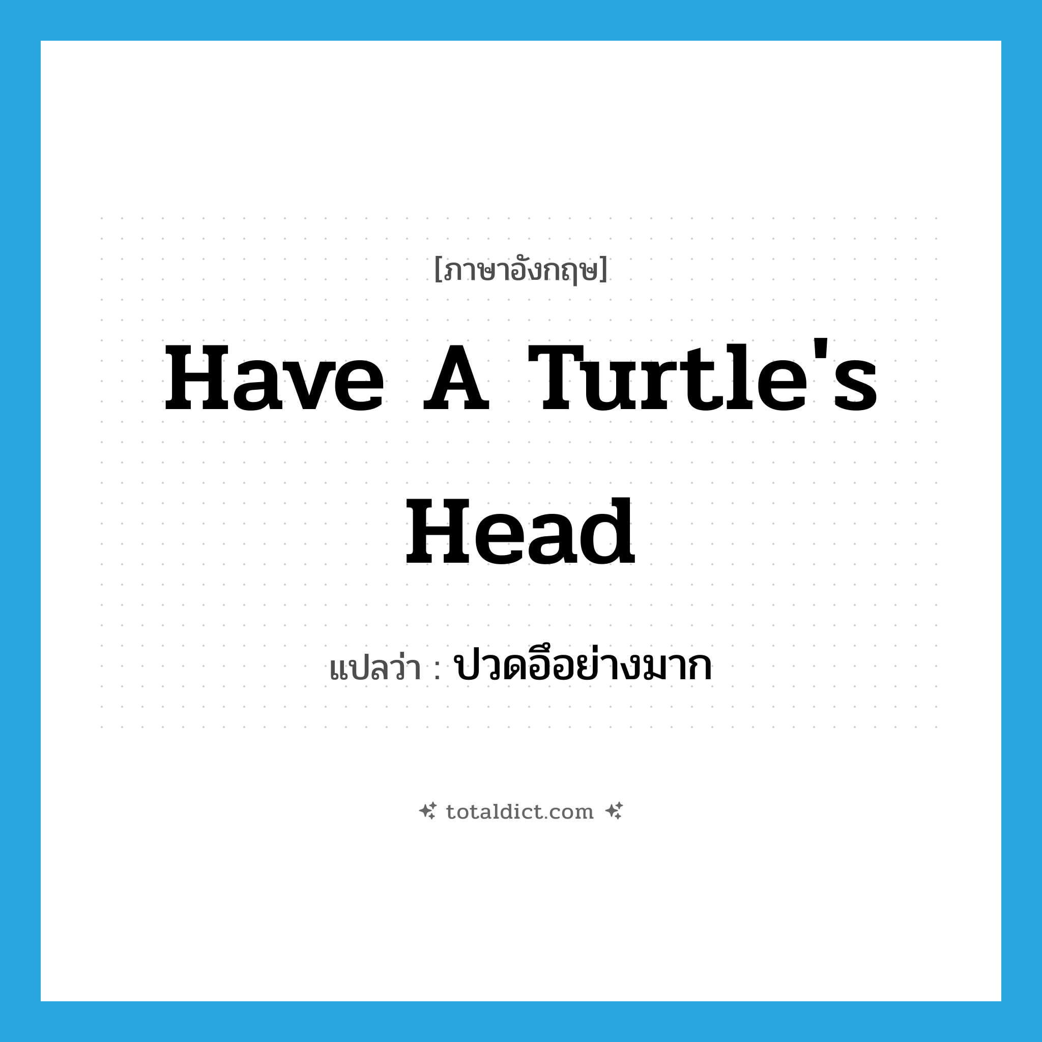 have a turtle&#39;s head แปลว่า?, คำศัพท์ภาษาอังกฤษ have a turtle&#39;s head แปลว่า ปวดอึอย่างมาก ประเภท SL หมวด SL
