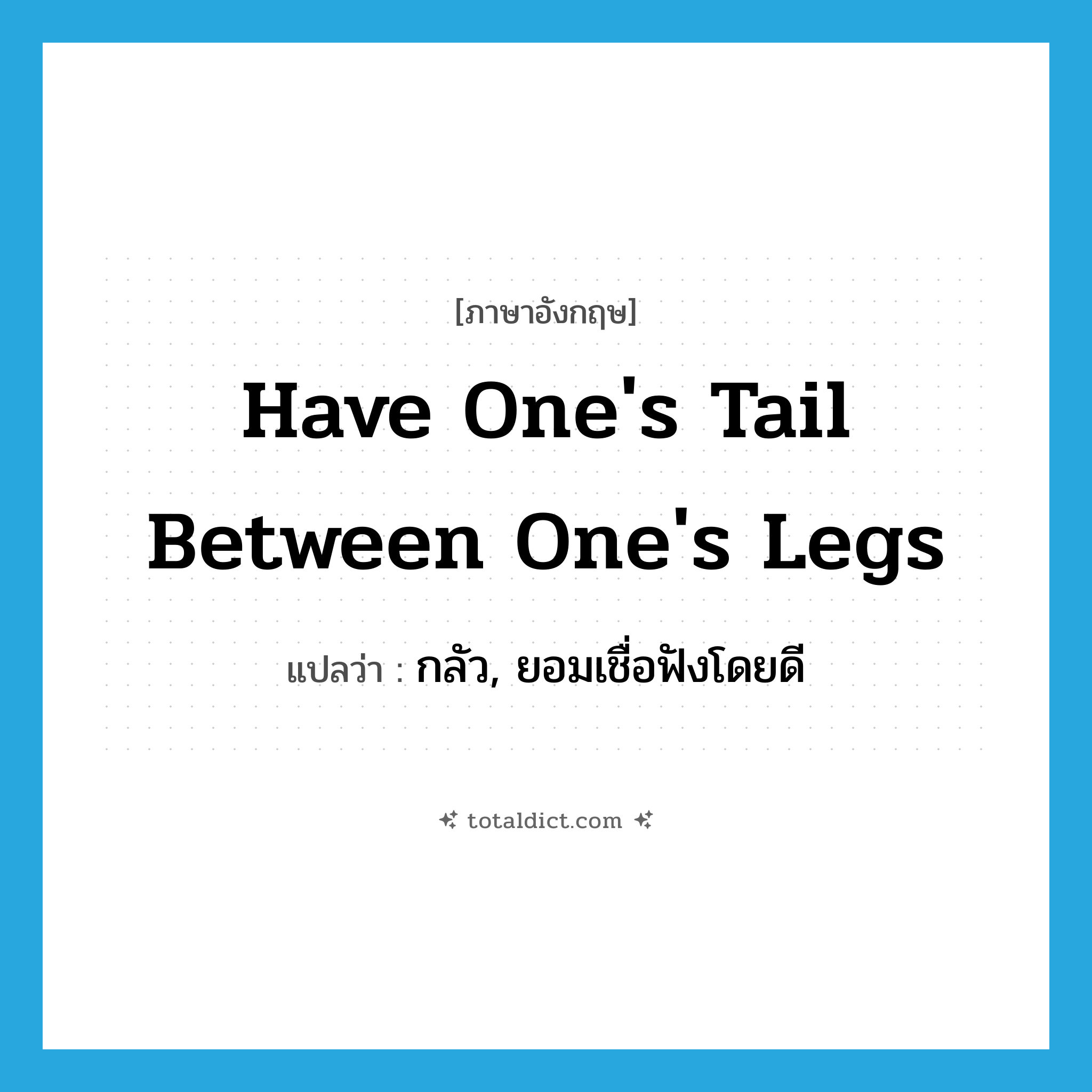 have one&#39;s tail between one&#39;s legs แปลว่า?, คำศัพท์ภาษาอังกฤษ have one&#39;s tail between one&#39;s legs แปลว่า กลัว, ยอมเชื่อฟังโดยดี ประเภท IDM หมวด IDM