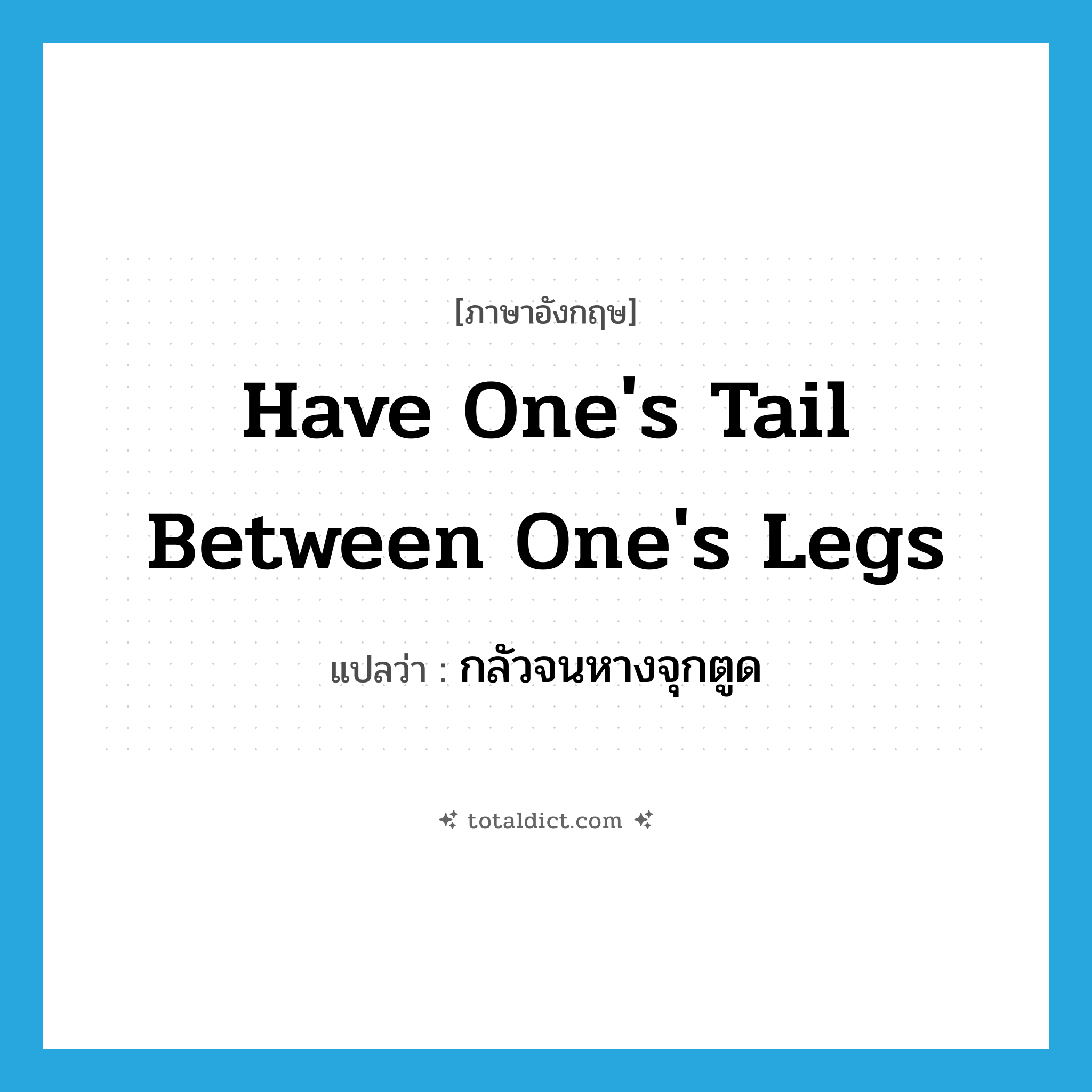 have one&#39;s tail between one&#39;s legs แปลว่า?, คำศัพท์ภาษาอังกฤษ have one&#39;s tail between one&#39;s legs แปลว่า กลัวจนหางจุกตูด ประเภท IDM หมวด IDM