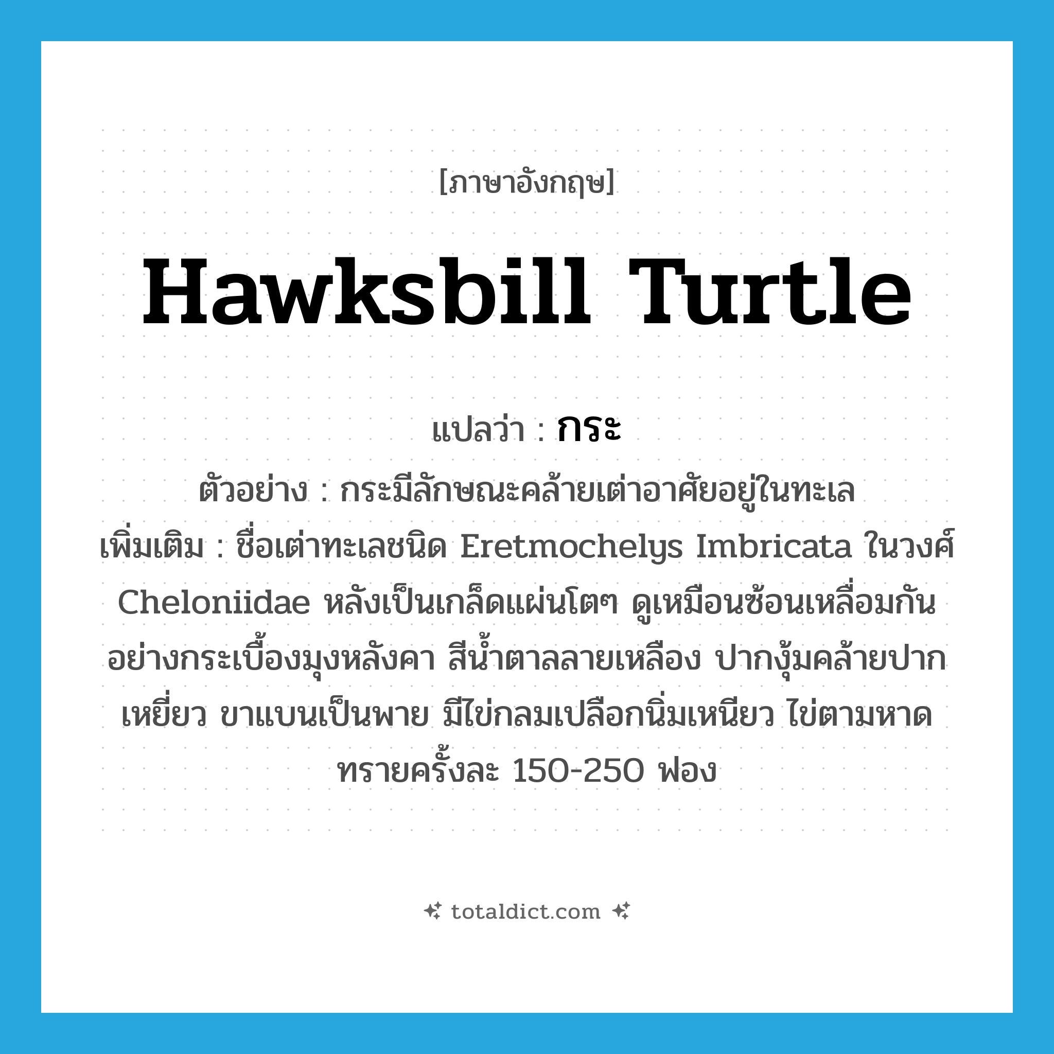 กระ ภาษาอังกฤษ?, คำศัพท์ภาษาอังกฤษ กระ แปลว่า hawksbill turtle ประเภท N ตัวอย่าง กระมีลักษณะคล้ายเต่าอาศัยอยู่ในทะเล เพิ่มเติม ชื่อเต่าทะเลชนิด Eretmochelys Imbricata ในวงศ์ Cheloniidae หลังเป็นเกล็ดแผ่นโตๆ ดูเหมือนซ้อนเหลื่อมกันอย่างกระเบื้องมุงหลังคา สีน้ำตาลลายเหลือง ปากงุ้มคล้ายปากเหยี่ยว ขาแบนเป็นพาย มีไข่กลมเปลือกนิ่มเหนียว ไข่ตามหาดทรายครั้งละ 150-250 ฟอง หมวด N