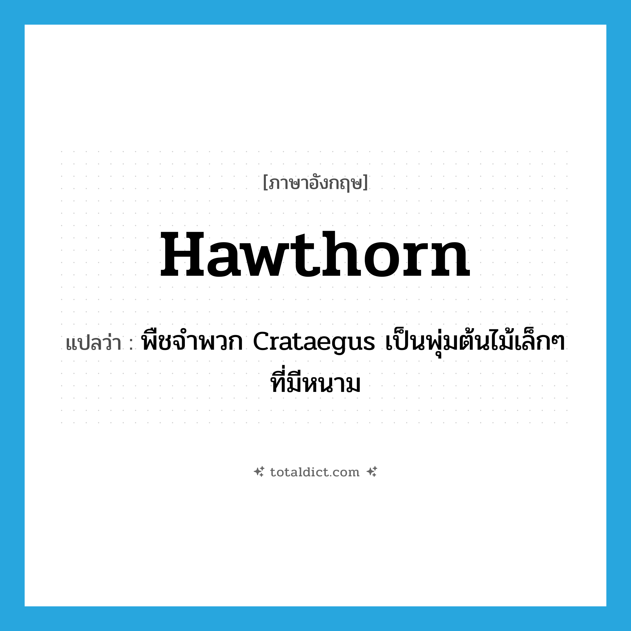 hawthorn แปลว่า?, คำศัพท์ภาษาอังกฤษ hawthorn แปลว่า พืชจำพวก Crataegus เป็นพุ่มต้นไม้เล็กๆ ที่มีหนาม ประเภท N หมวด N