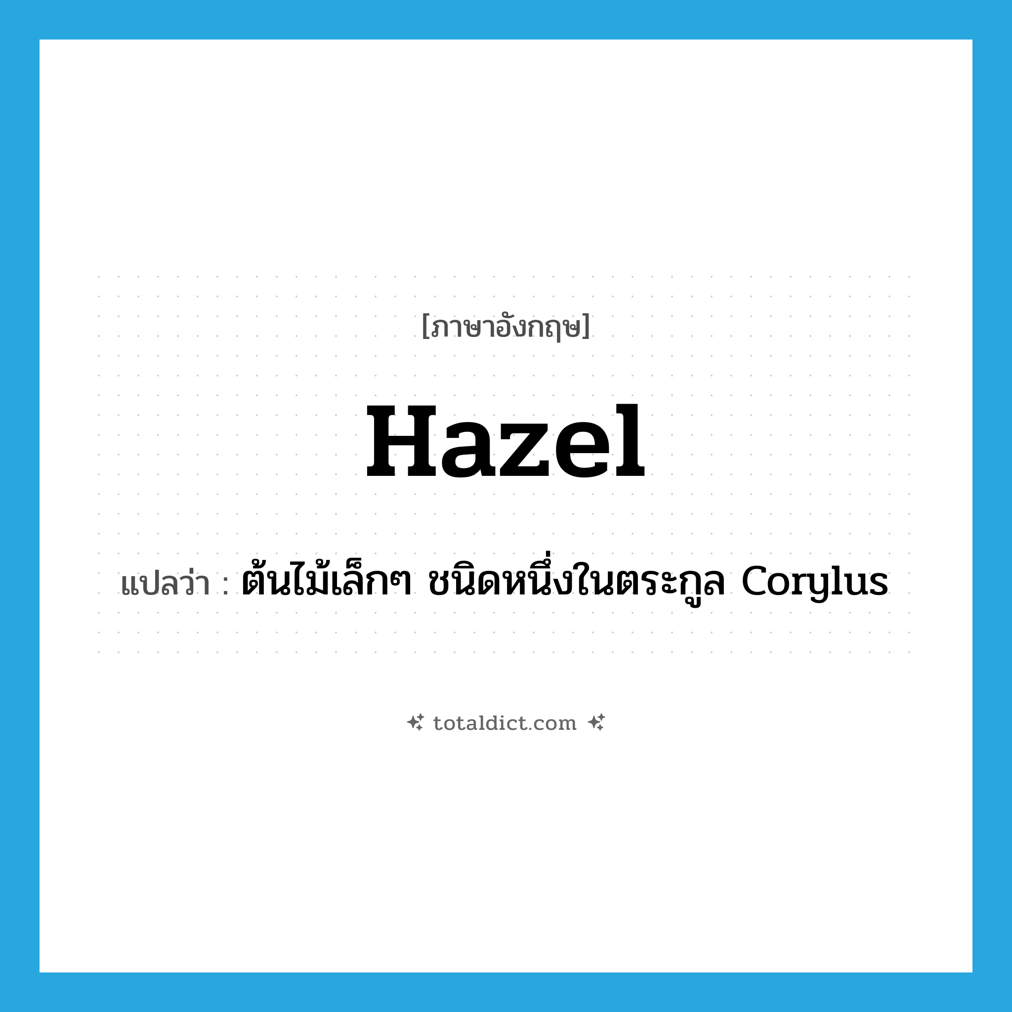 hazel แปลว่า?, คำศัพท์ภาษาอังกฤษ hazel แปลว่า ต้นไม้เล็กๆ ชนิดหนึ่งในตระกูล Corylus ประเภท N หมวด N