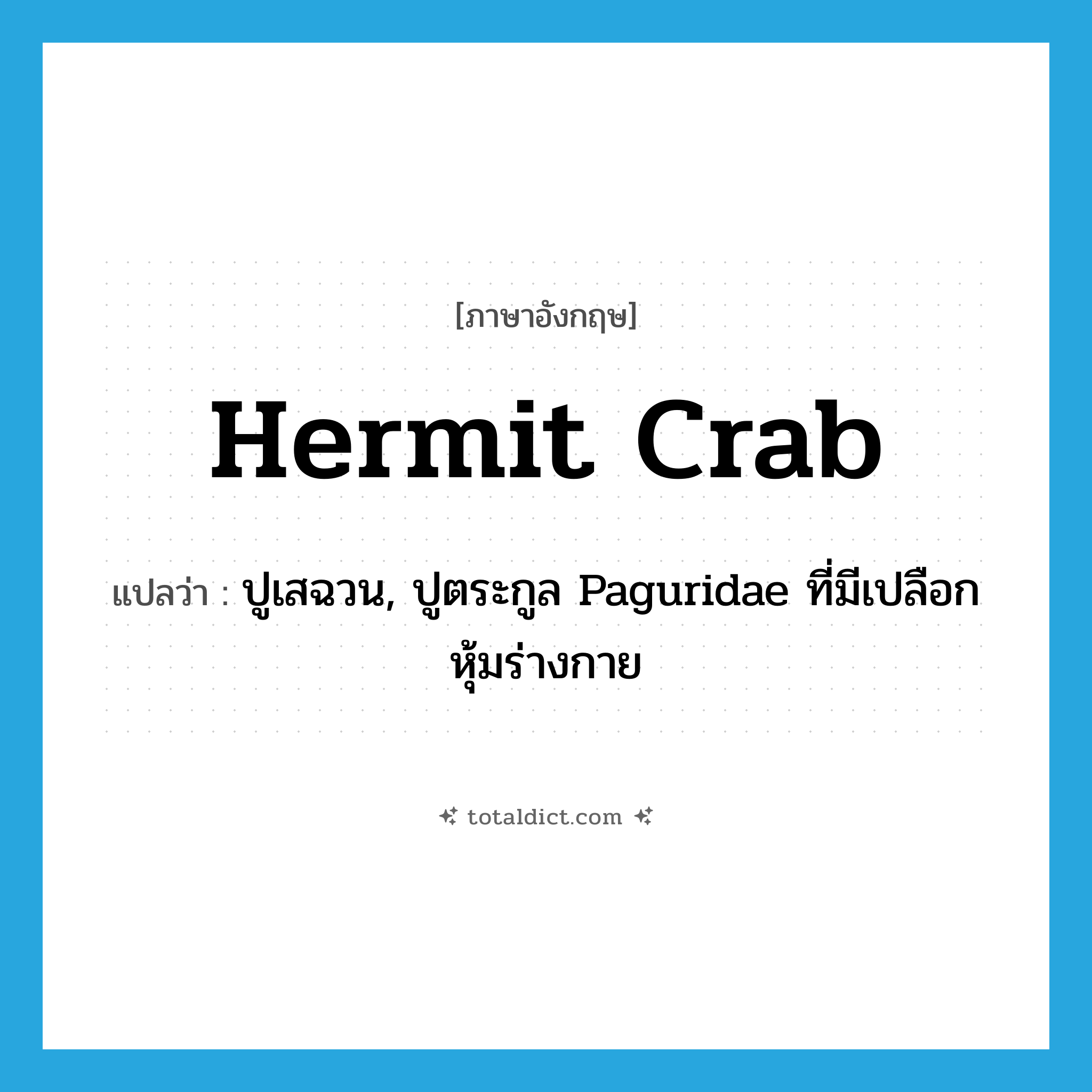 hermit crab แปลว่า?, คำศัพท์ภาษาอังกฤษ hermit crab แปลว่า ปูเสฉวน, ปูตระกูล Paguridae ที่มีเปลือกหุ้มร่างกาย ประเภท N หมวด N