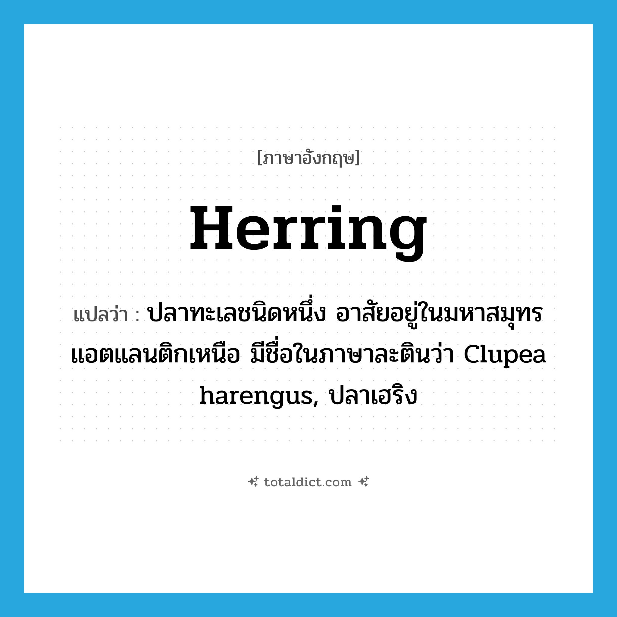 herring แปลว่า?, คำศัพท์ภาษาอังกฤษ herring แปลว่า ปลาทะเลชนิดหนึ่ง อาสัยอยู่ในมหาสมุทรแอตแลนติกเหนือ มีชื่อในภาษาละตินว่า Clupea harengus, ปลาเฮริง ประเภท N หมวด N