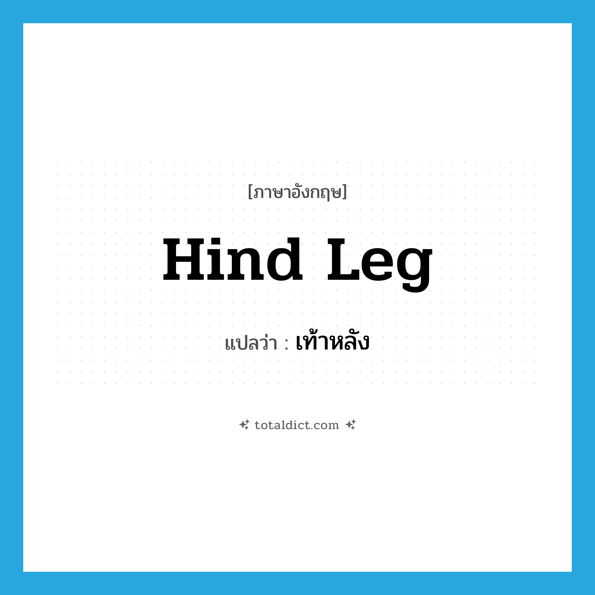 hind leg แปลว่า?, คำศัพท์ภาษาอังกฤษ hind leg แปลว่า เท้าหลัง ประเภท N หมวด N