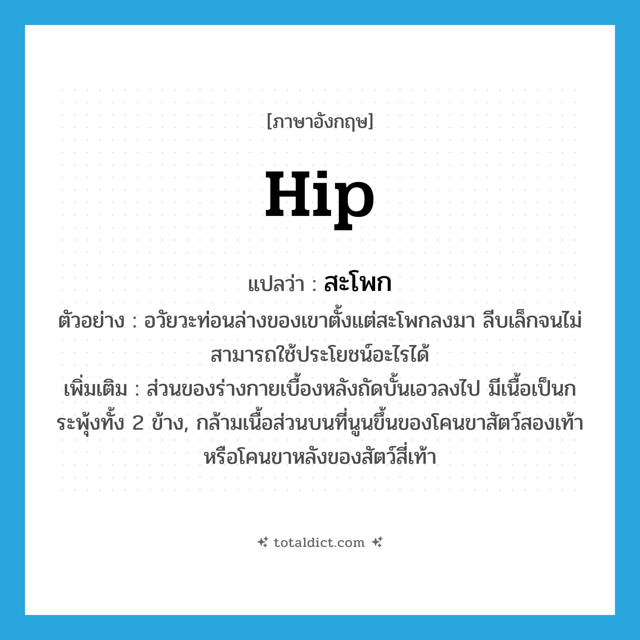 hip แปลว่า?, คำศัพท์ภาษาอังกฤษ hip แปลว่า สะโพก ประเภท N ตัวอย่าง อวัยวะท่อนล่างของเขาตั้งแต่สะโพกลงมา ลีบเล็กจนไม่สามารถใช้ประโยชน์อะไรได้ เพิ่มเติม ส่วนของร่างกายเบื้องหลังถัดบั้นเอวลงไป มีเนื้อเป็นกระพุ้งทั้ง 2 ข้าง, กล้ามเนื้อส่วนบนที่นูนขึ้นของโคนขาสัตว์สองเท้าหรือโคนขาหลังของสัตว์สี่เท้า หมวด N
