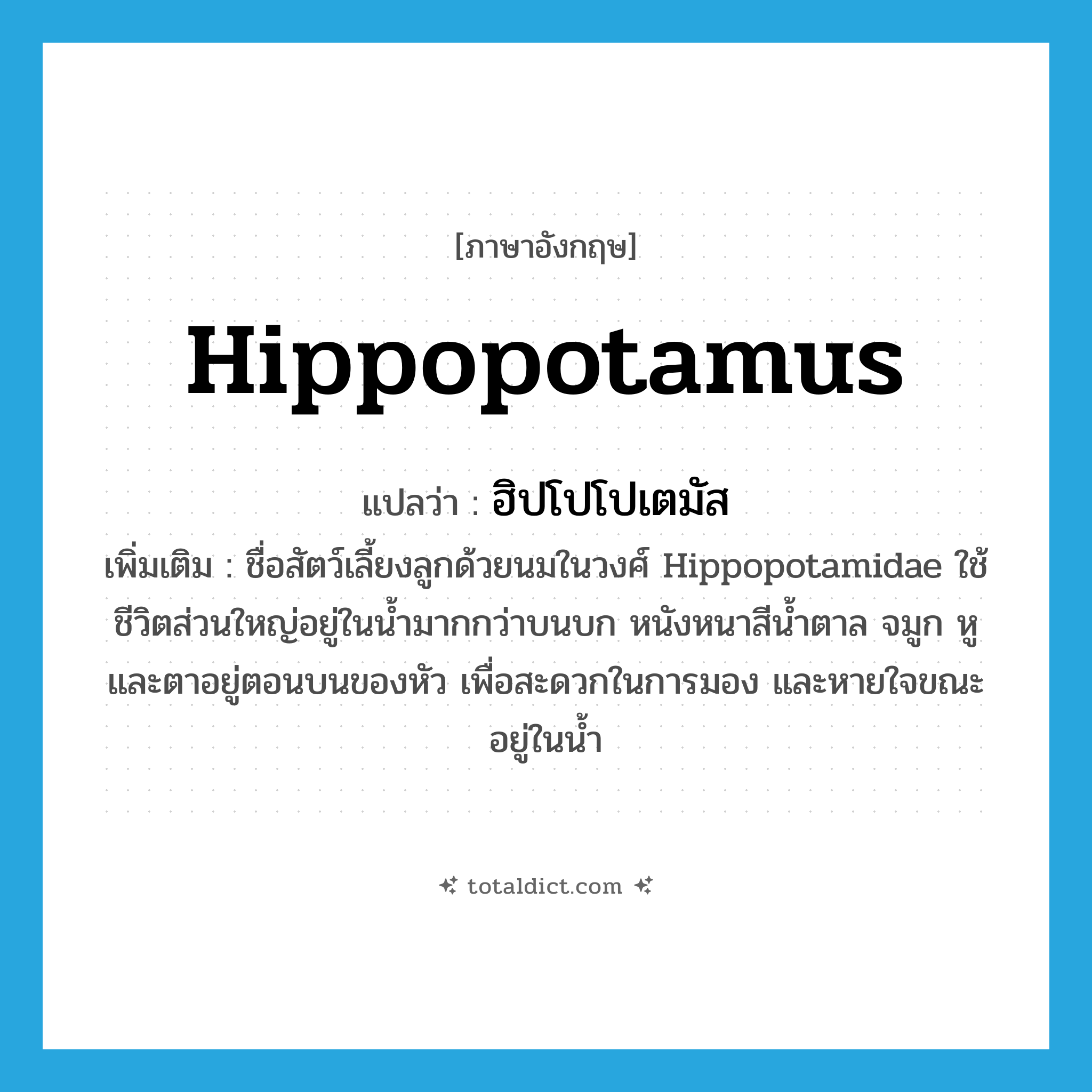 hippopotamus แปลว่า?, คำศัพท์ภาษาอังกฤษ hippopotamus แปลว่า ฮิปโปโปเตมัส ประเภท N เพิ่มเติม ชื่อสัตว์เลี้ยงลูกด้วยนมในวงศ์ Hippopotamidae ใช้ชีวิตส่วนใหญ่อยู่ในน้ำมากกว่าบนบก หนังหนาสีน้ำตาล จมูก หู และตาอยู่ตอนบนของหัว เพื่อสะดวกในการมอง และหายใจขณะอยู่ในน้ำ หมวด N