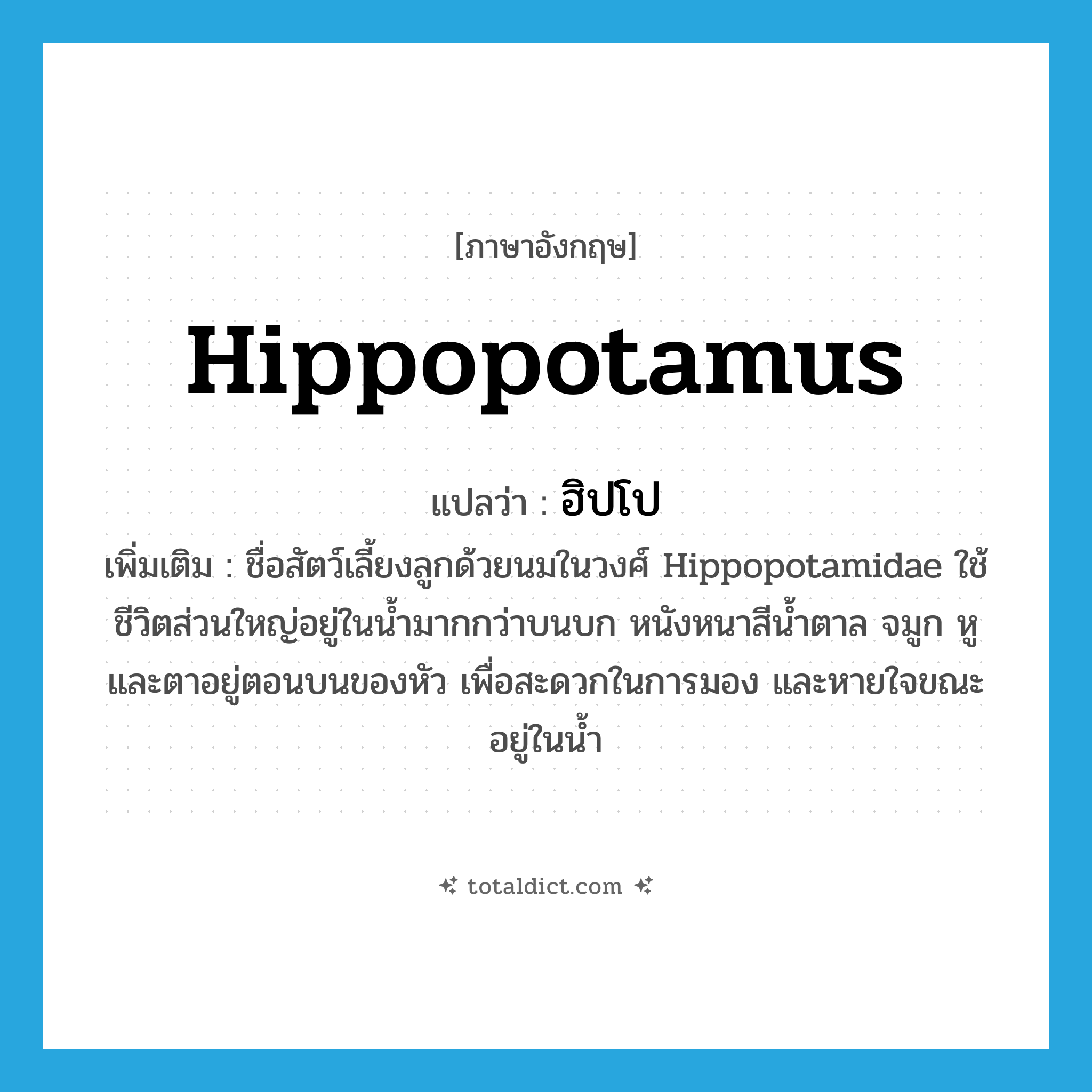 hippopotamus แปลว่า?, คำศัพท์ภาษาอังกฤษ hippopotamus แปลว่า ฮิปโป ประเภท N เพิ่มเติม ชื่อสัตว์เลี้ยงลูกด้วยนมในวงศ์ Hippopotamidae ใช้ชีวิตส่วนใหญ่อยู่ในน้ำมากกว่าบนบก หนังหนาสีน้ำตาล จมูก หู และตาอยู่ตอนบนของหัว เพื่อสะดวกในการมอง และหายใจขณะอยู่ในน้ำ หมวด N