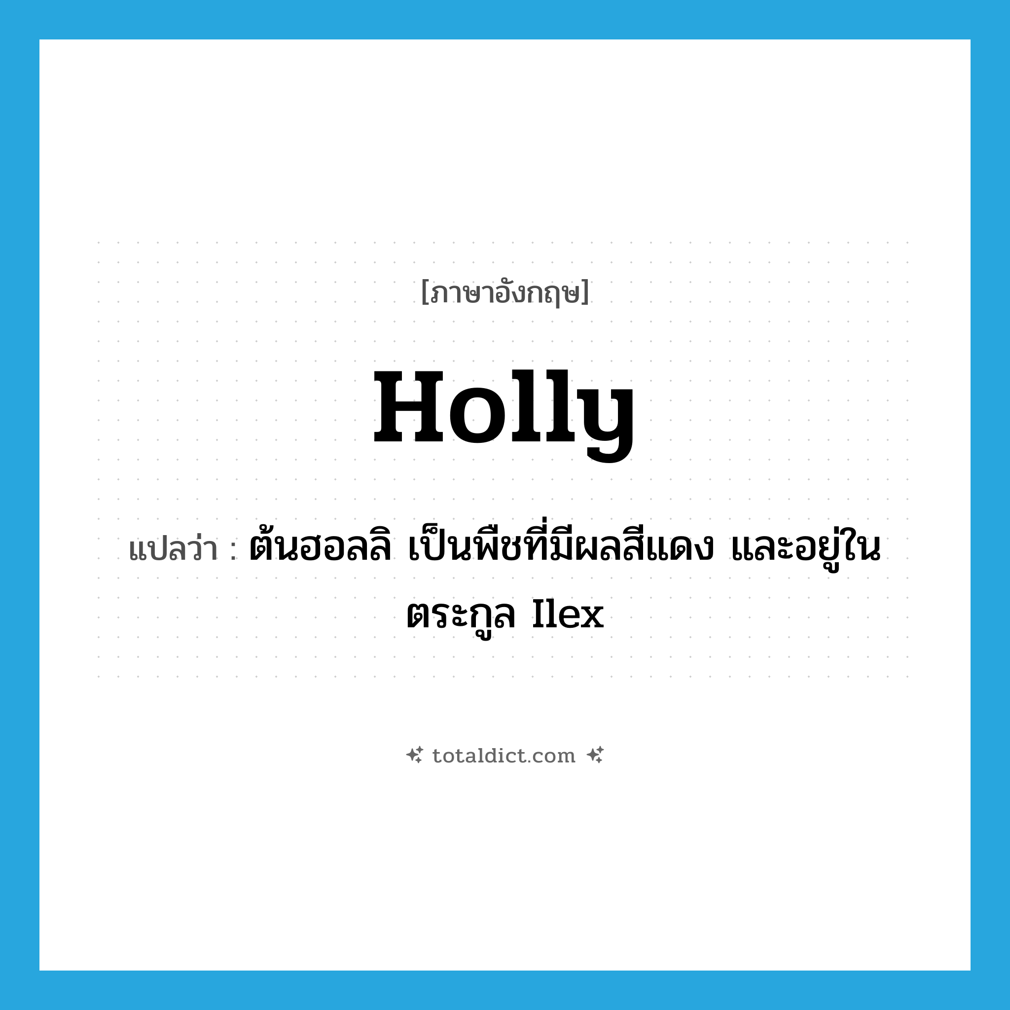 holly แปลว่า?, คำศัพท์ภาษาอังกฤษ holly แปลว่า ต้นฮอลลิ เป็นพืชที่มีผลสีแดง และอยู่ในตระกูล Ilex ประเภท N หมวด N