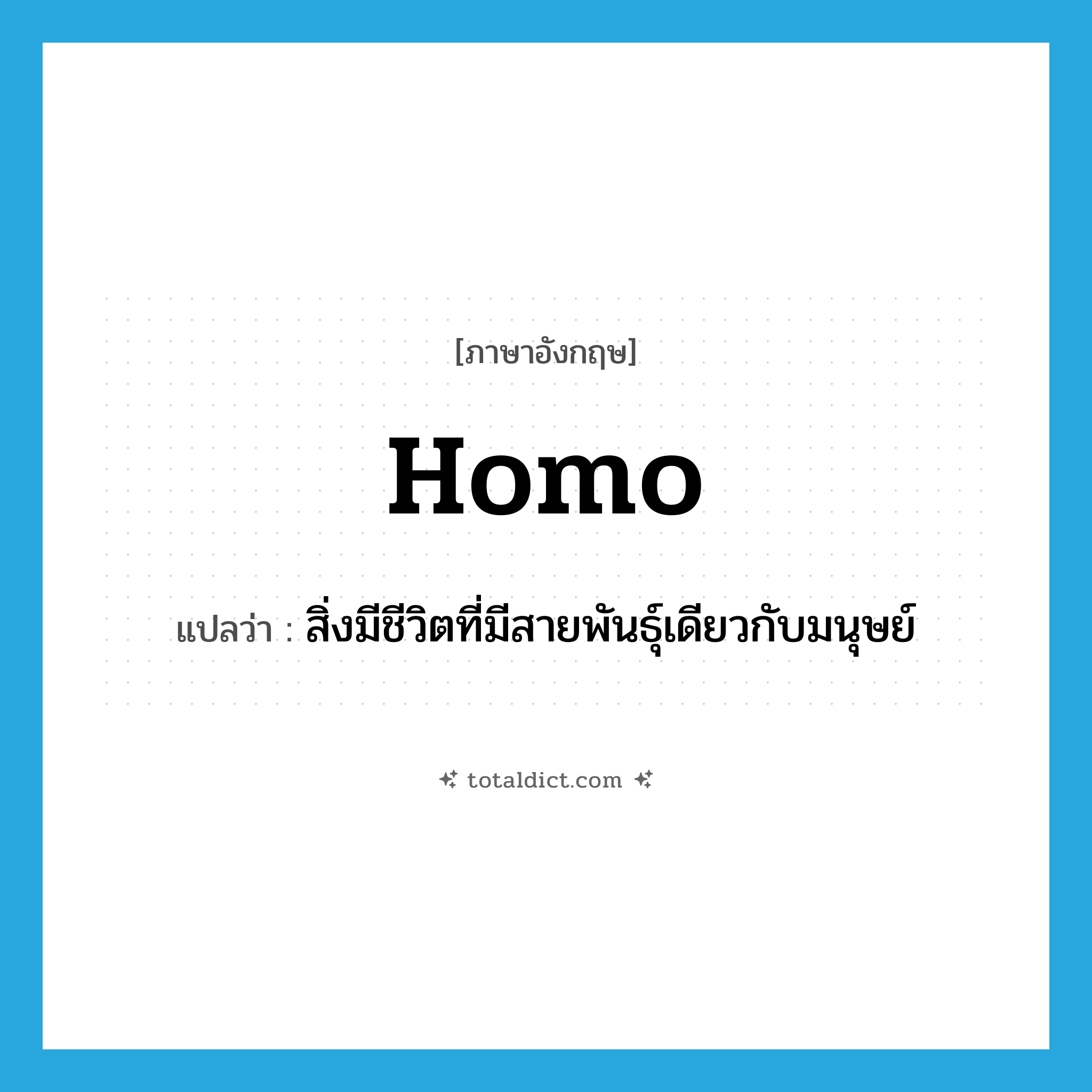 homo- แปลว่า?, คำศัพท์ภาษาอังกฤษ homo แปลว่า สิ่งมีชีวิตที่มีสายพันธุ์เดียวกับมนุษย์ ประเภท N หมวด N