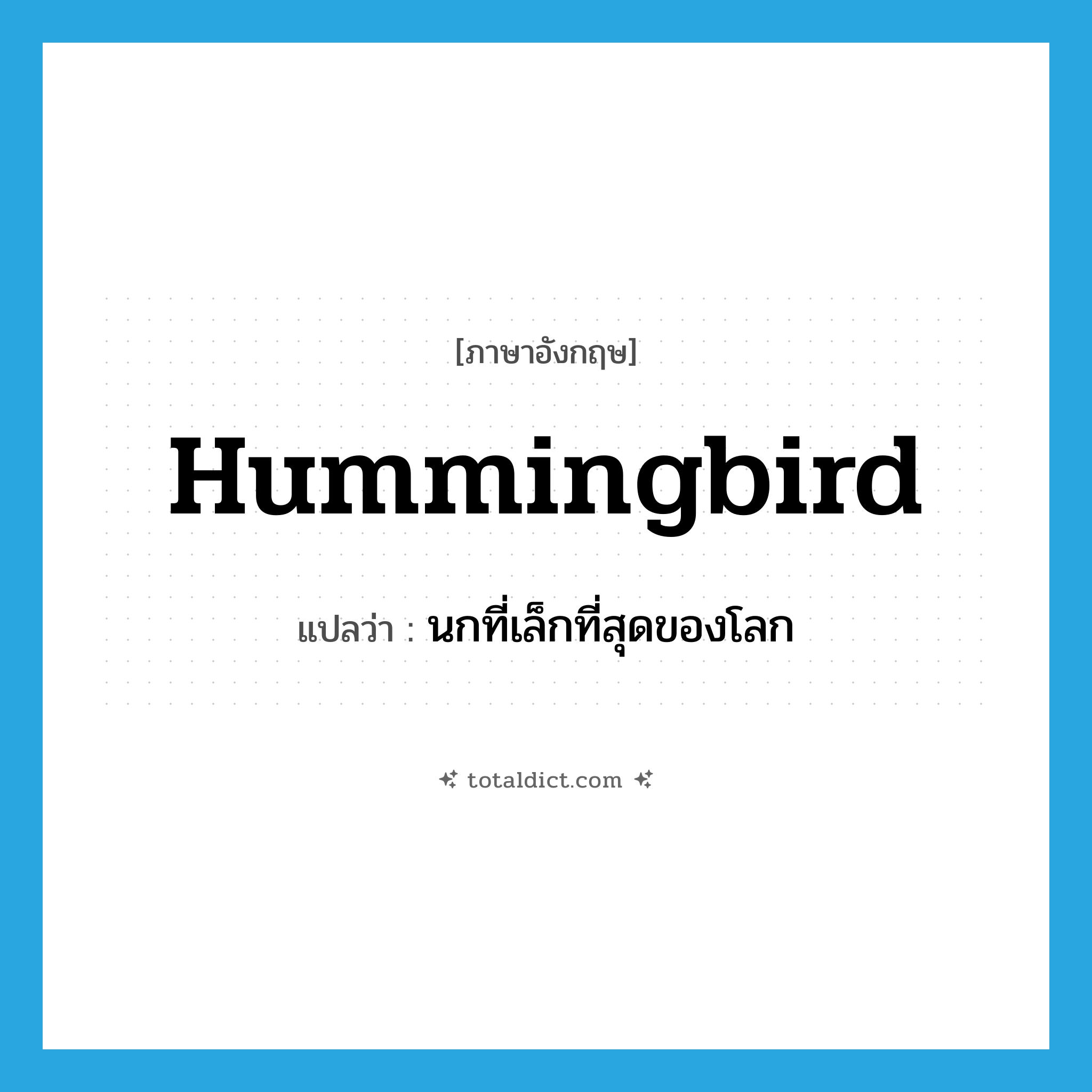 hummingbird แปลว่า?, คำศัพท์ภาษาอังกฤษ hummingbird แปลว่า นกที่เล็กที่สุดของโลก ประเภท N หมวด N