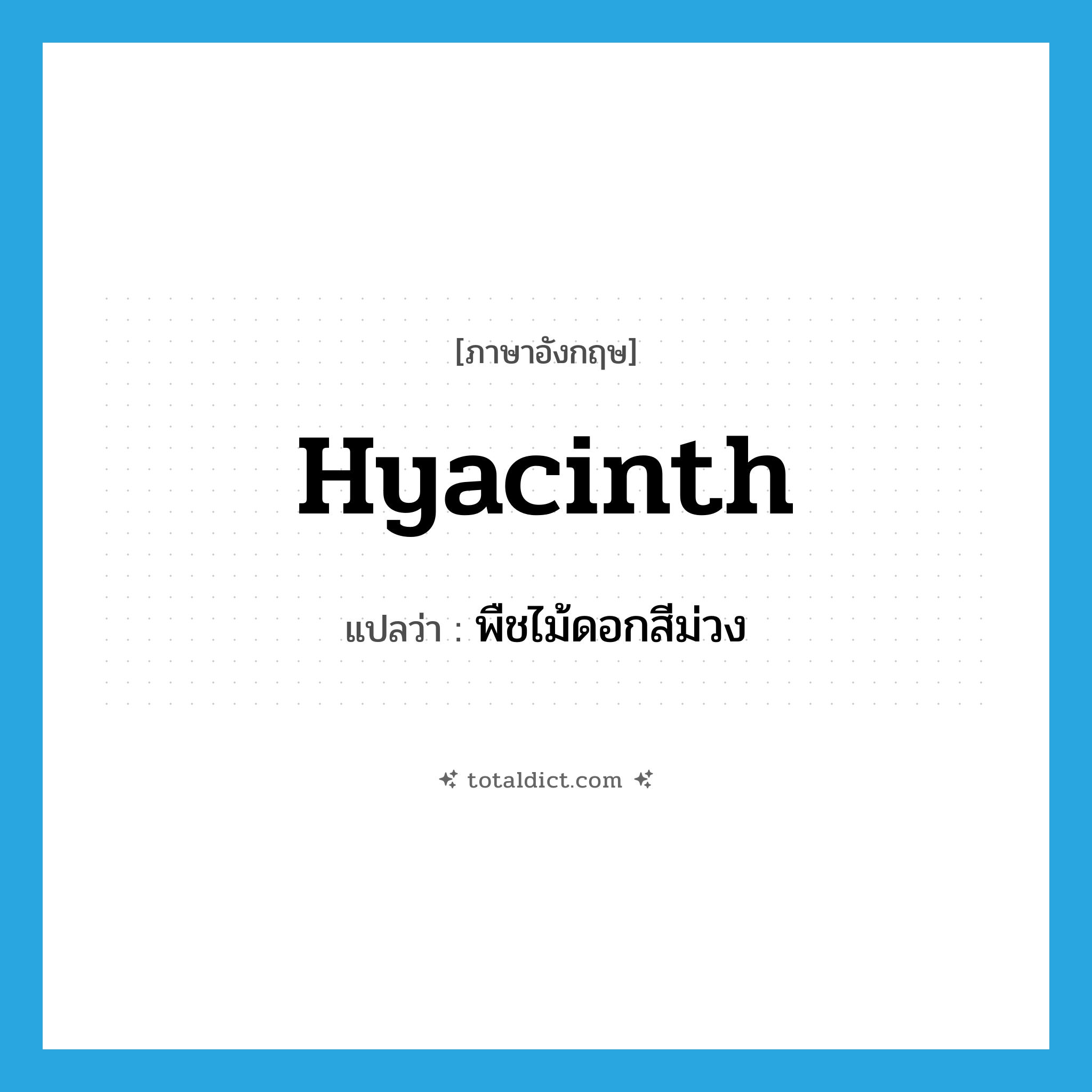 hyacinth แปลว่า?, คำศัพท์ภาษาอังกฤษ hyacinth แปลว่า พืชไม้ดอกสีม่วง ประเภท N หมวด N