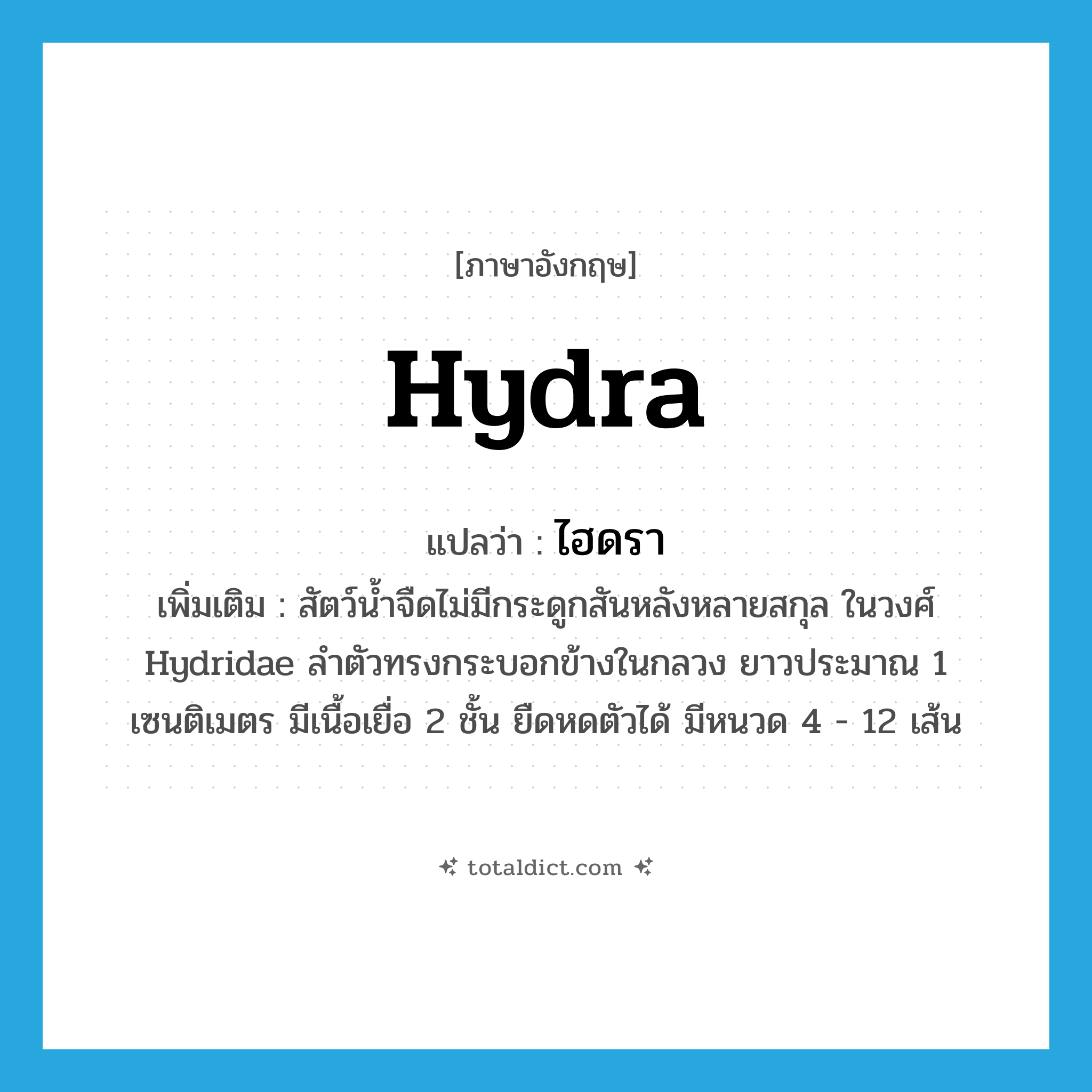 hydra แปลว่า?, คำศัพท์ภาษาอังกฤษ hydra แปลว่า ไฮดรา ประเภท N เพิ่มเติม สัตว์น้ำจืดไม่มีกระดูกสันหลังหลายสกุล ในวงศ์ Hydridae ลำตัวทรงกระบอกข้างในกลวง ยาวประมาณ 1 เซนติเมตร มีเนื้อเยื่อ 2 ชั้น ยืดหดตัวได้ มีหนวด 4 - 12 เส้น หมวด N