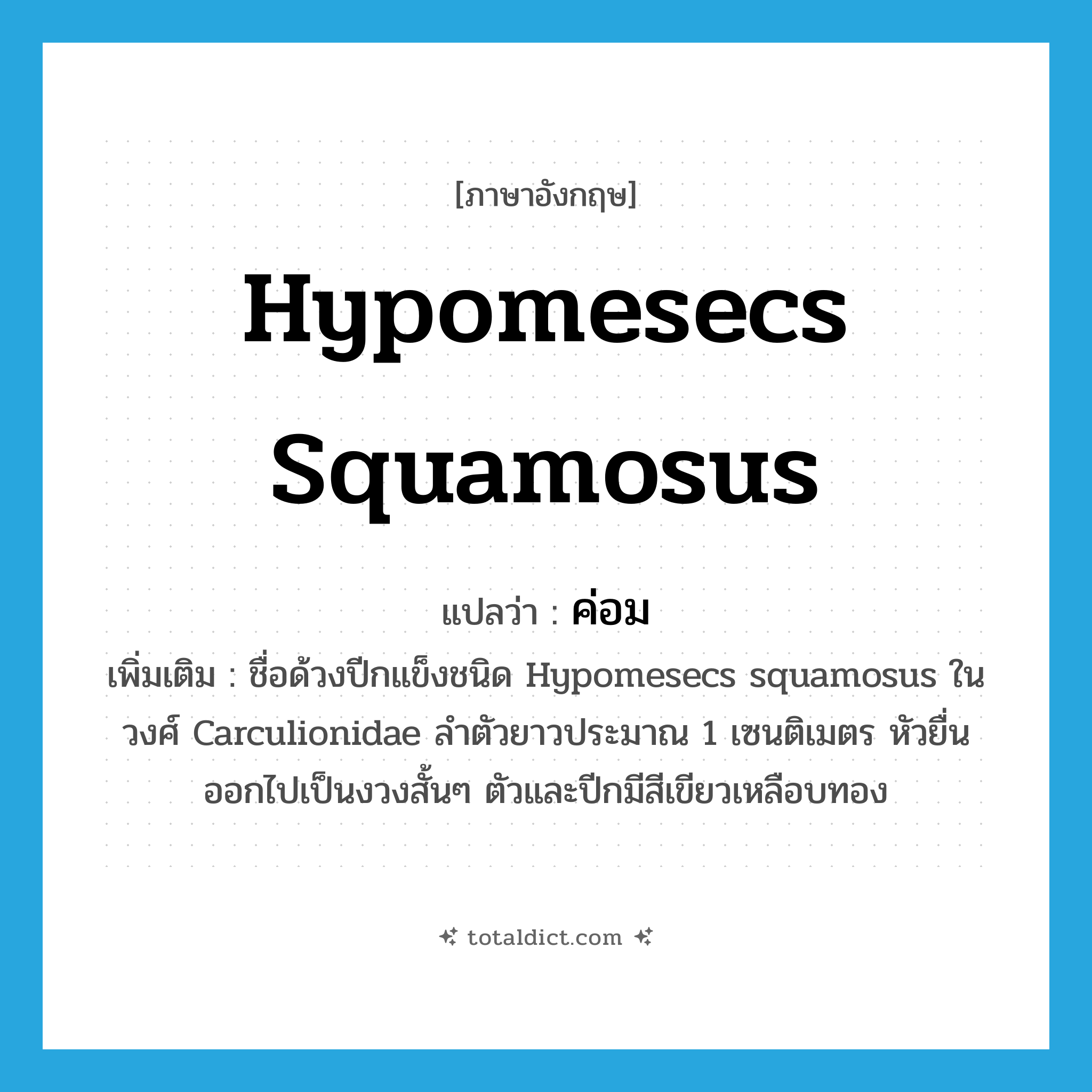 ค่อม ภาษาอังกฤษ?, คำศัพท์ภาษาอังกฤษ ค่อม แปลว่า Hypomesecs squamosus ประเภท N เพิ่มเติม ชื่อด้วงปีกแข็งชนิด Hypomesecs squamosus ในวงศ์ Carculionidae ลำตัวยาวประมาณ 1 เซนติเมตร หัวยื่นออกไปเป็นงวงสั้นๆ ตัวและปีกมีสีเขียวเหลือบทอง หมวด N