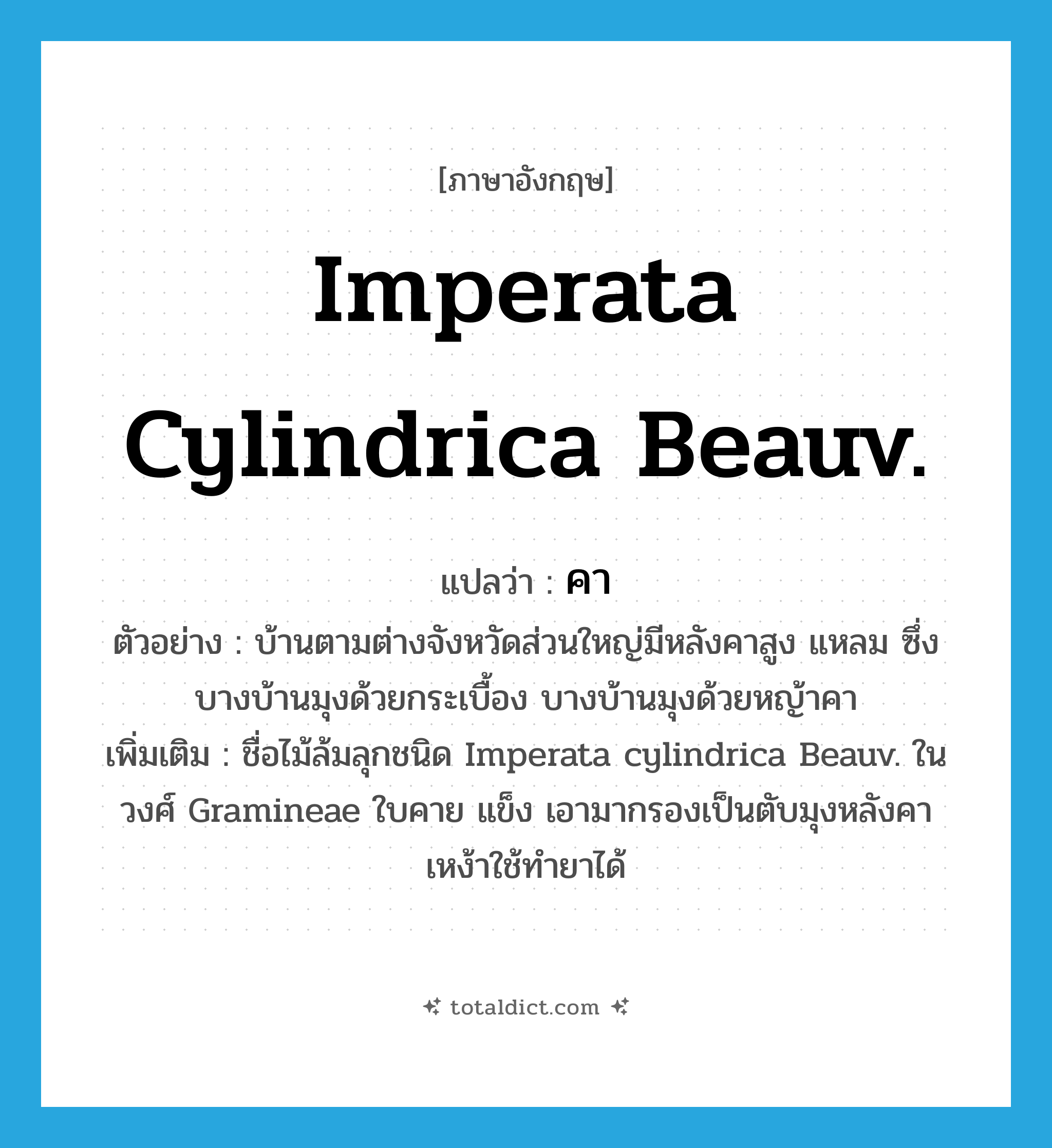 คา ภาษาอังกฤษ?, คำศัพท์ภาษาอังกฤษ คา แปลว่า Imperata cylindrica Beauv. ประเภท N ตัวอย่าง บ้านตามต่างจังหวัดส่วนใหญ่มีหลังคาสูง แหลม ซึ่งบางบ้านมุงด้วยกระเบื้อง บางบ้านมุงด้วยหญ้าคา เพิ่มเติม ชื่อไม้ล้มลุกชนิด Imperata cylindrica Beauv. ในวงศ์ Gramineae ใบคาย แข็ง เอามากรองเป็นตับมุงหลังคา เหง้าใช้ทำยาได้ หมวด N