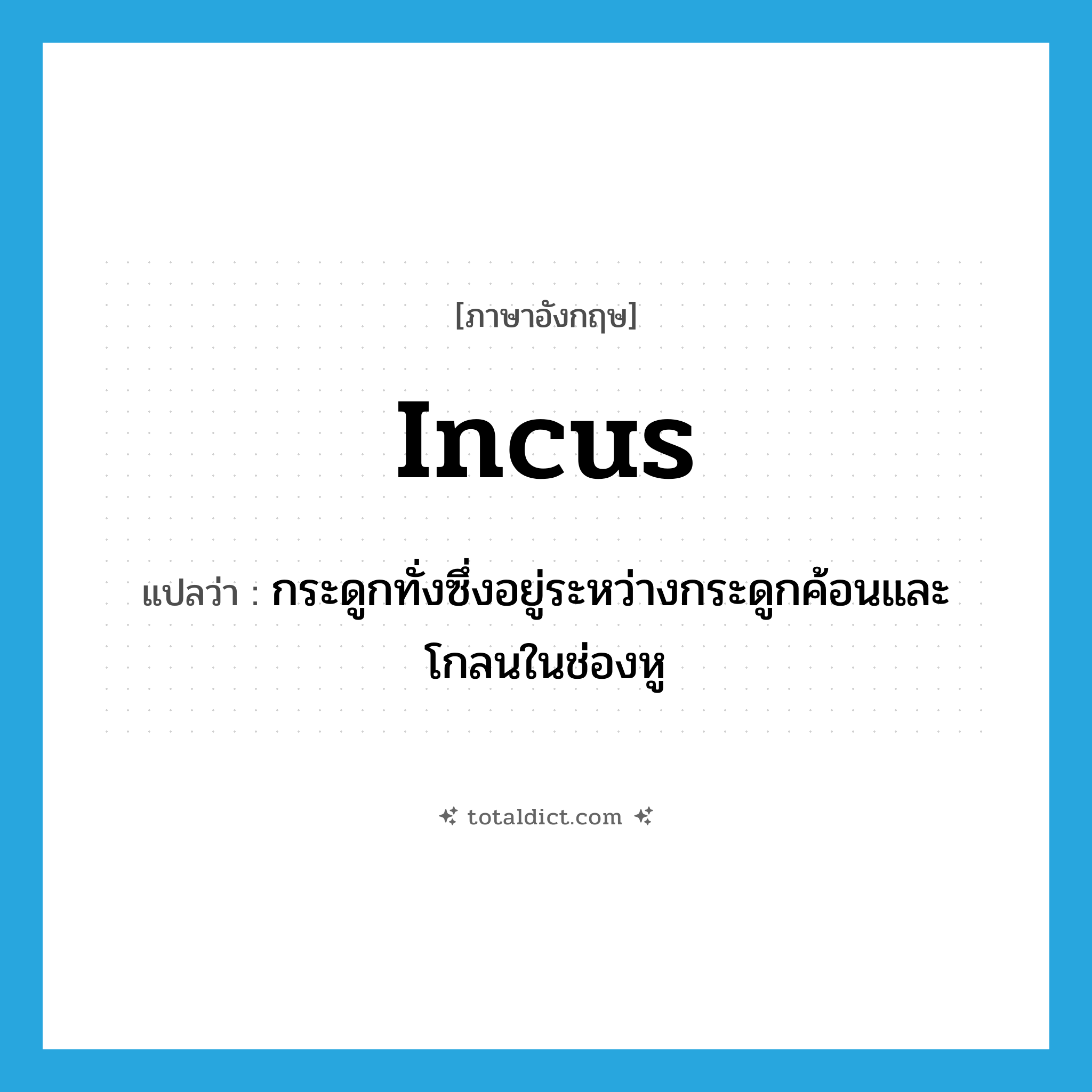 incus แปลว่า?, คำศัพท์ภาษาอังกฤษ incus แปลว่า กระดูกทั่งซึ่งอยู่ระหว่างกระดูกค้อนและโกลนในช่องหู ประเภท N หมวด N