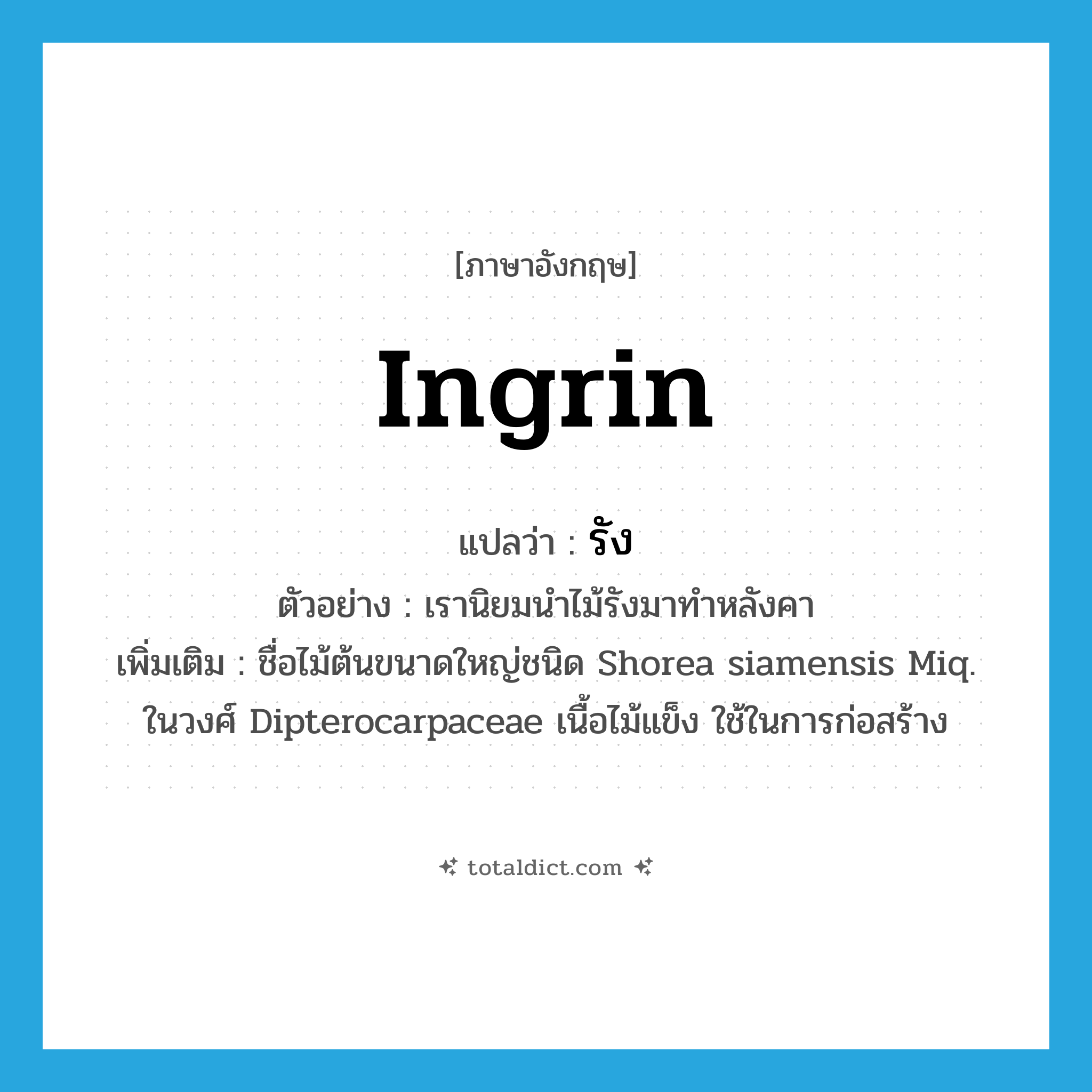 รัง ภาษาอังกฤษ?, คำศัพท์ภาษาอังกฤษ รัง แปลว่า ingrin ประเภท N ตัวอย่าง เรานิยมนำไม้รังมาทำหลังคา เพิ่มเติม ชื่อไม้ต้นขนาดใหญ่ชนิด Shorea siamensis Miq. ในวงศ์ Dipterocarpaceae เนื้อไม้แข็ง ใช้ในการก่อสร้าง หมวด N