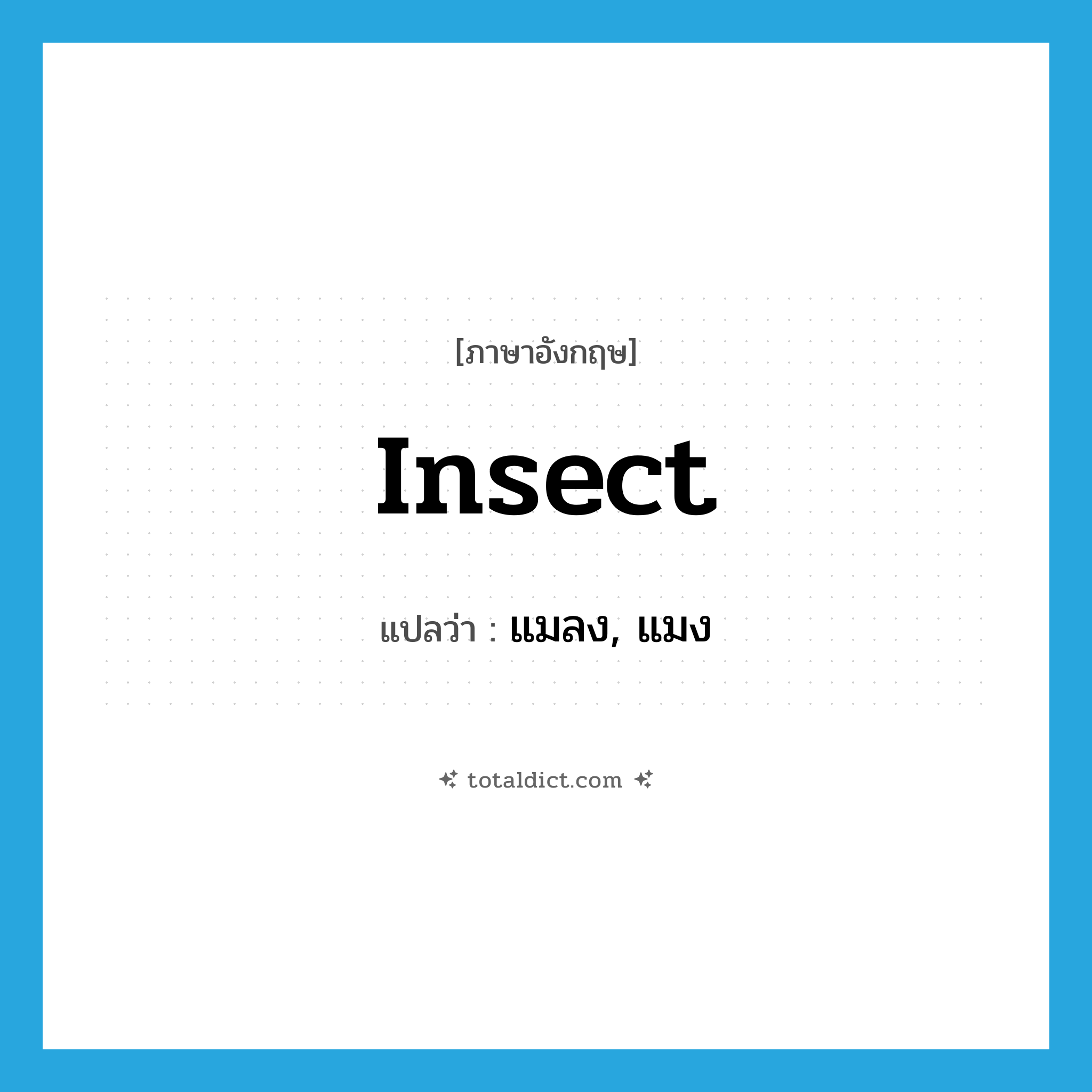 insect แปลว่า?, คำศัพท์ภาษาอังกฤษ insect แปลว่า แมลง, แมง ประเภท N หมวด N