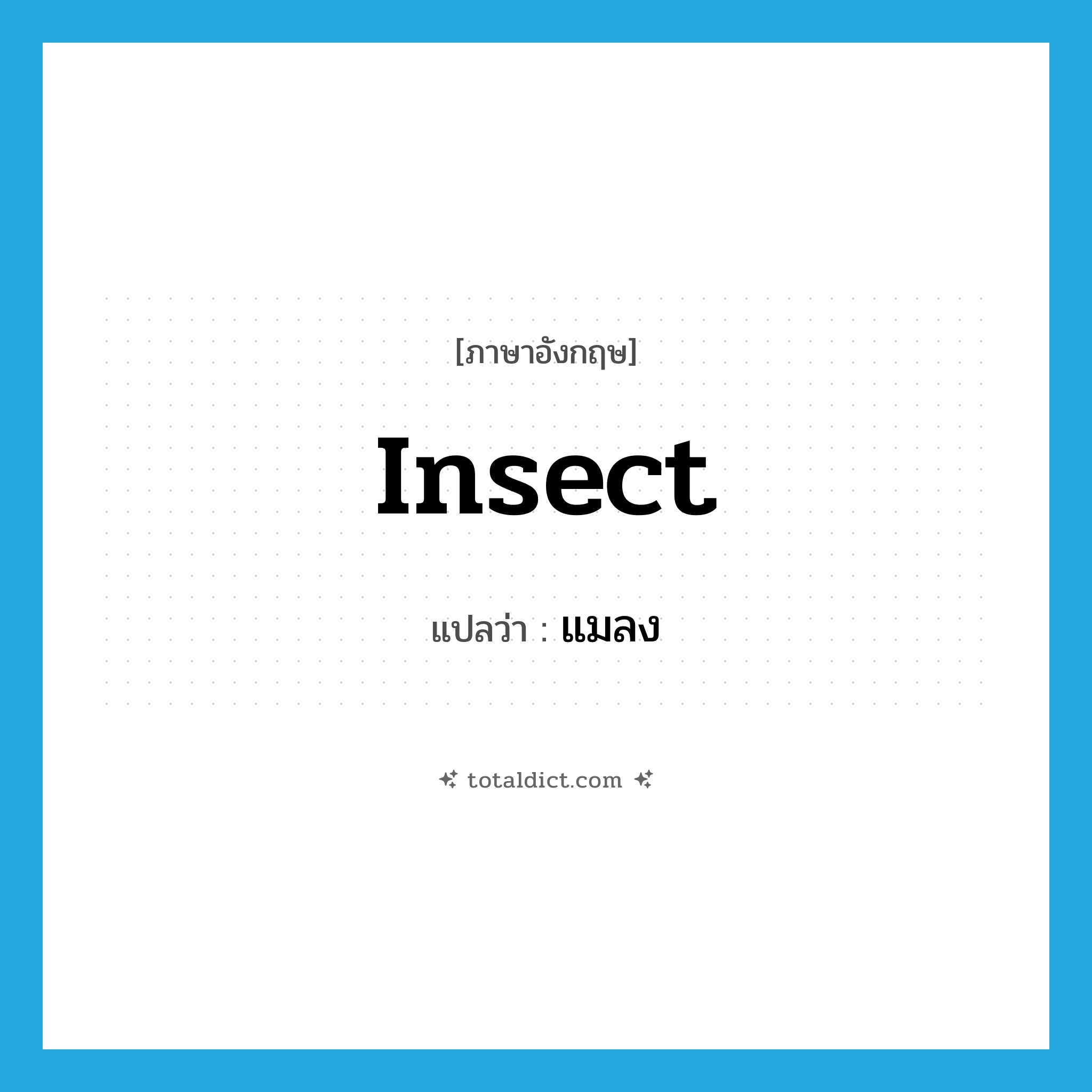 insect แปลว่า?, คำศัพท์ภาษาอังกฤษ insect แปลว่า แมลง ประเภท N หมวด N